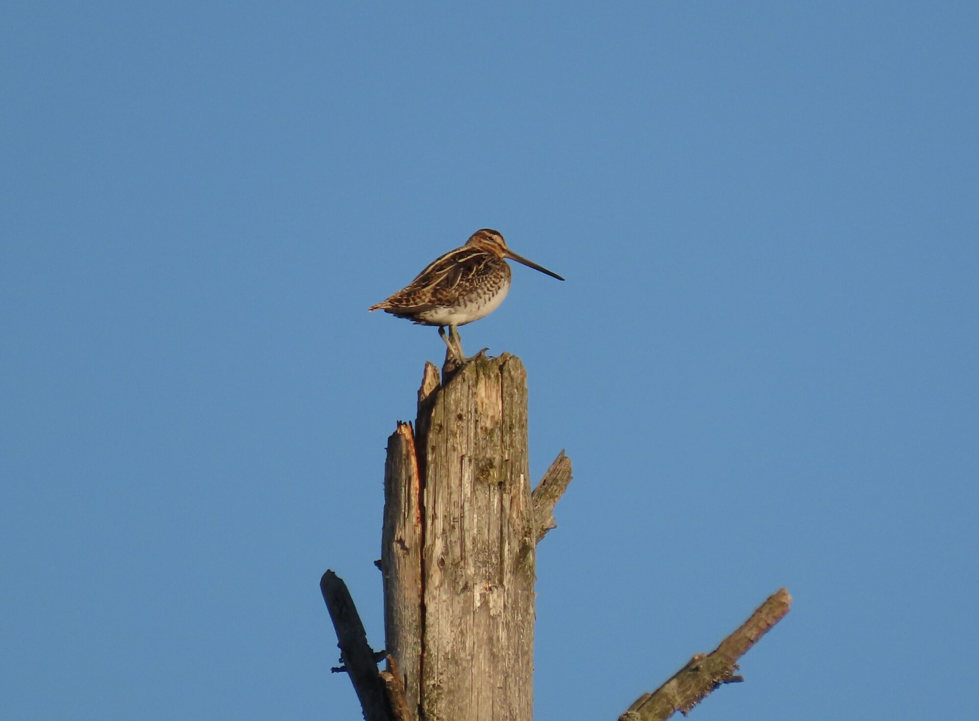 Valokuvaaja: Mirja Suoknuuti