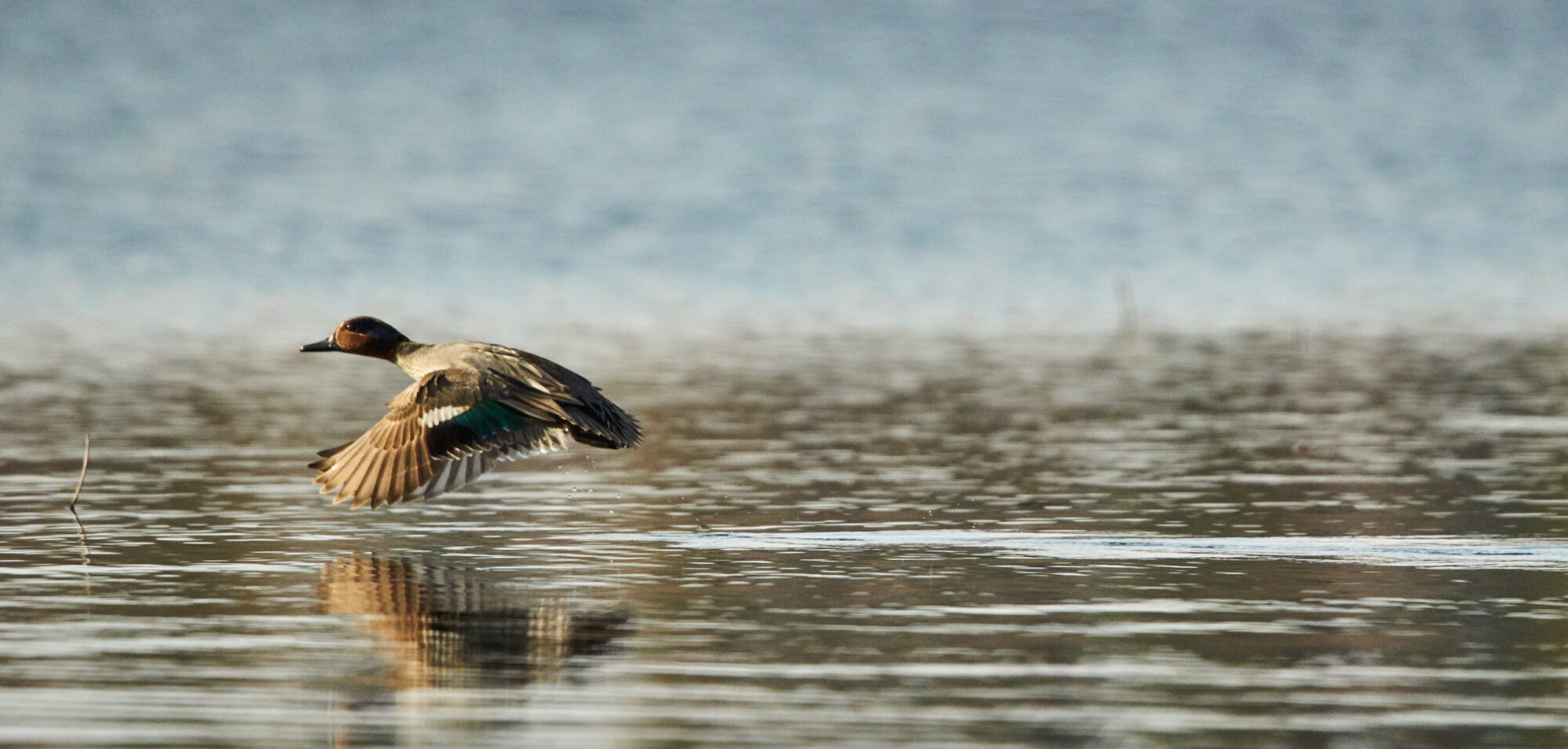 Valokuvaaja: Tarja Kouvo