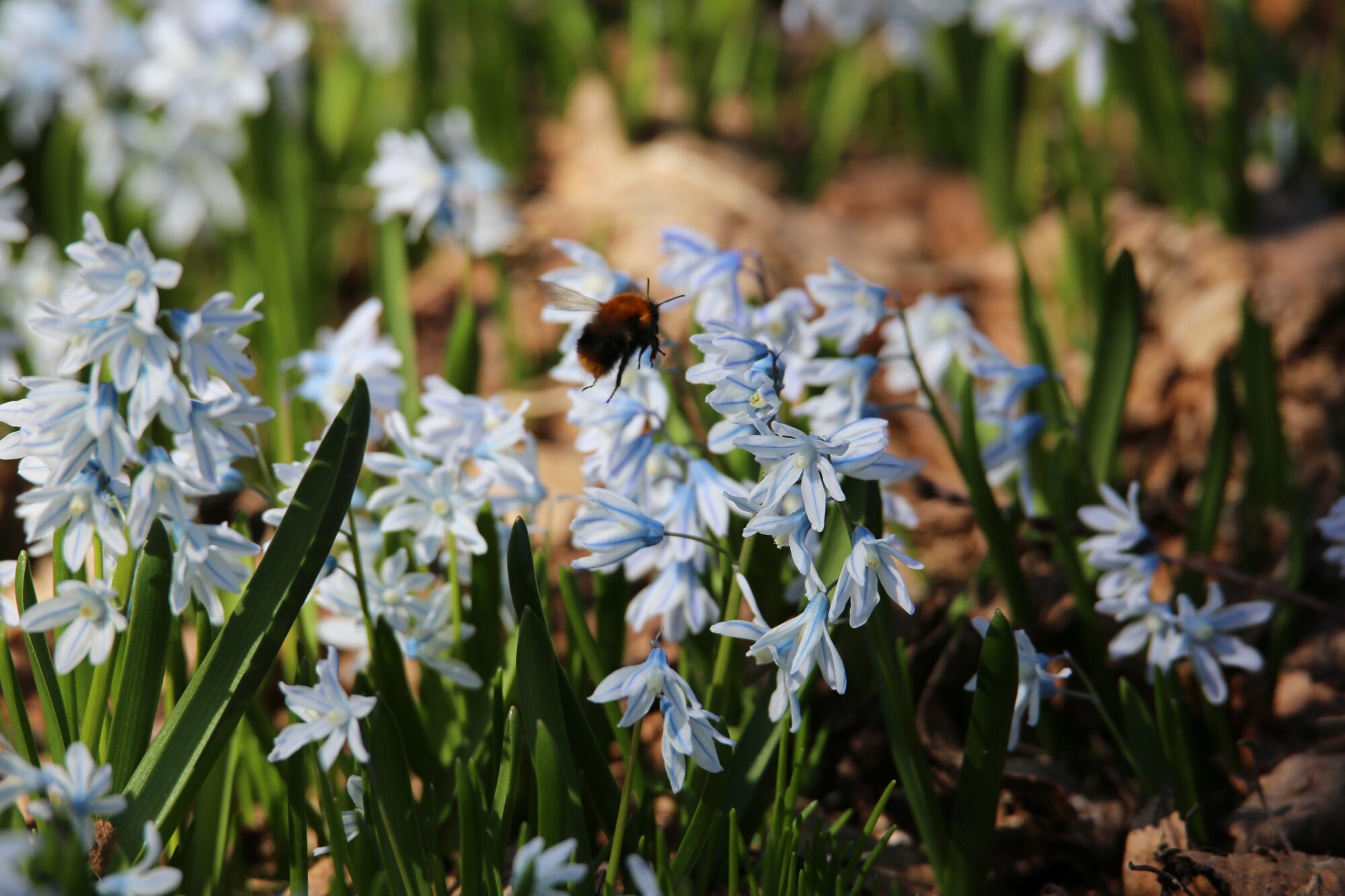 Valokuvaaja: Jaana Saarelainen
