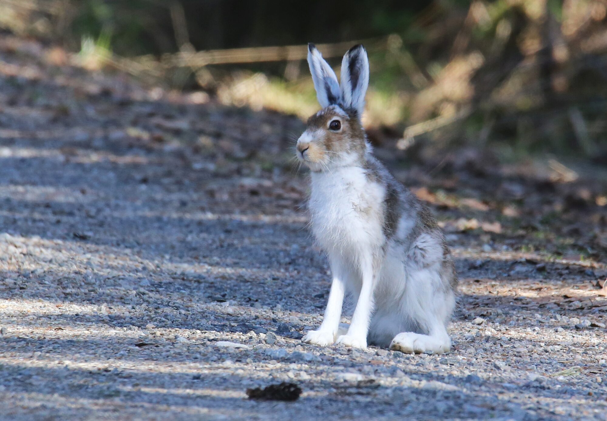 Valokuvaaja: Jaana Saarelainen
