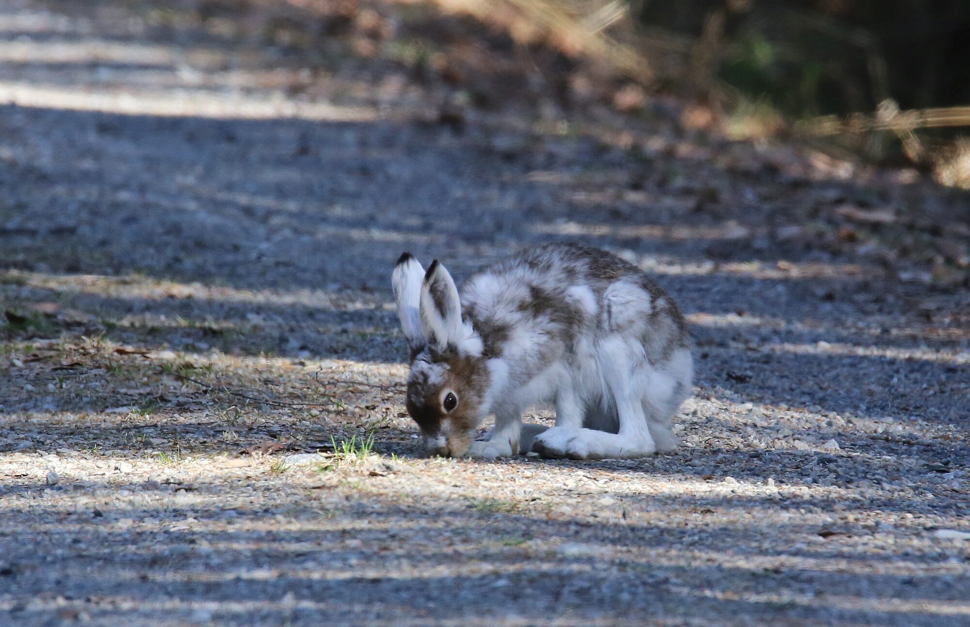 Valokuvaaja: Jaana Saarelainen