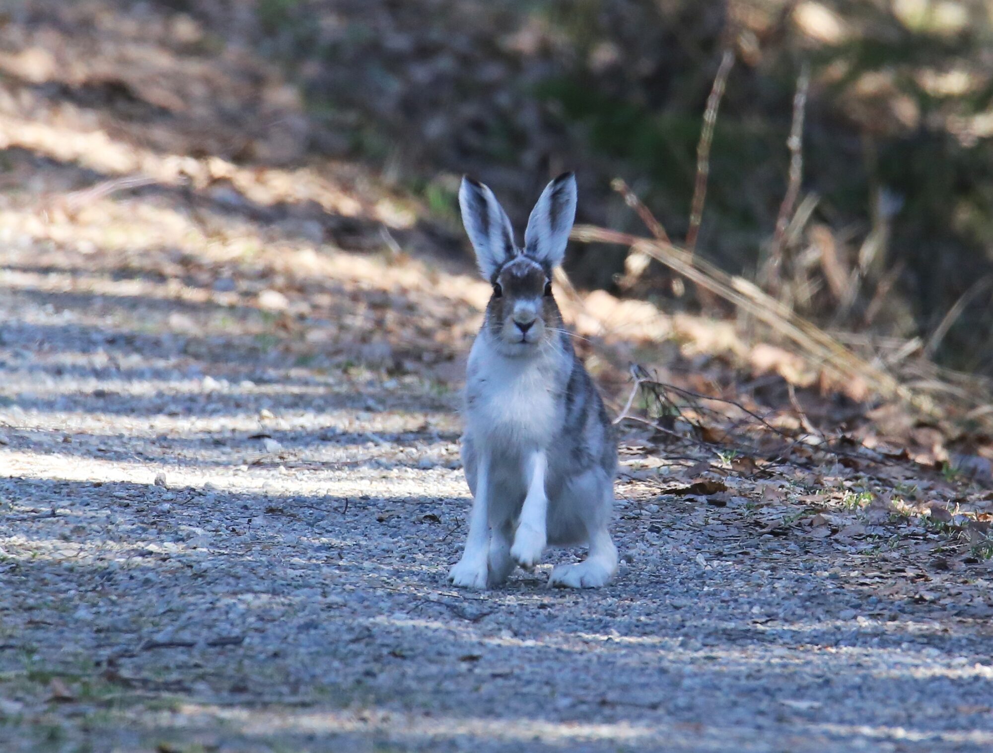 Valokuvaaja: Jaana Saarelainen