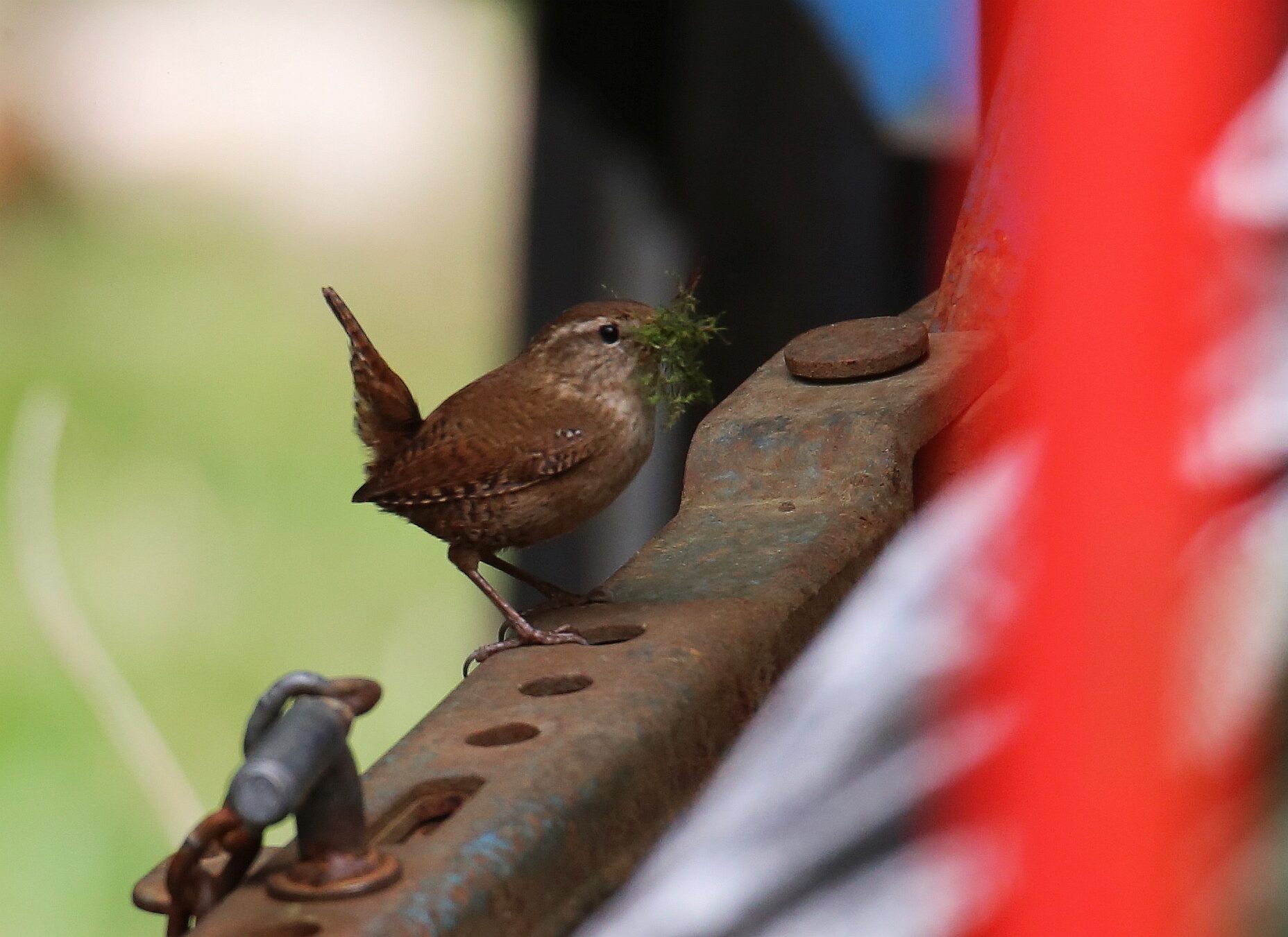 Valokuvaaja: Jaana Saarelainen
