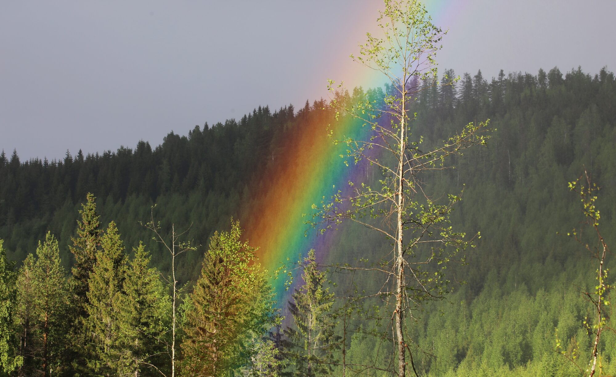 Valokuvaaja: Jaana Saarelainen
