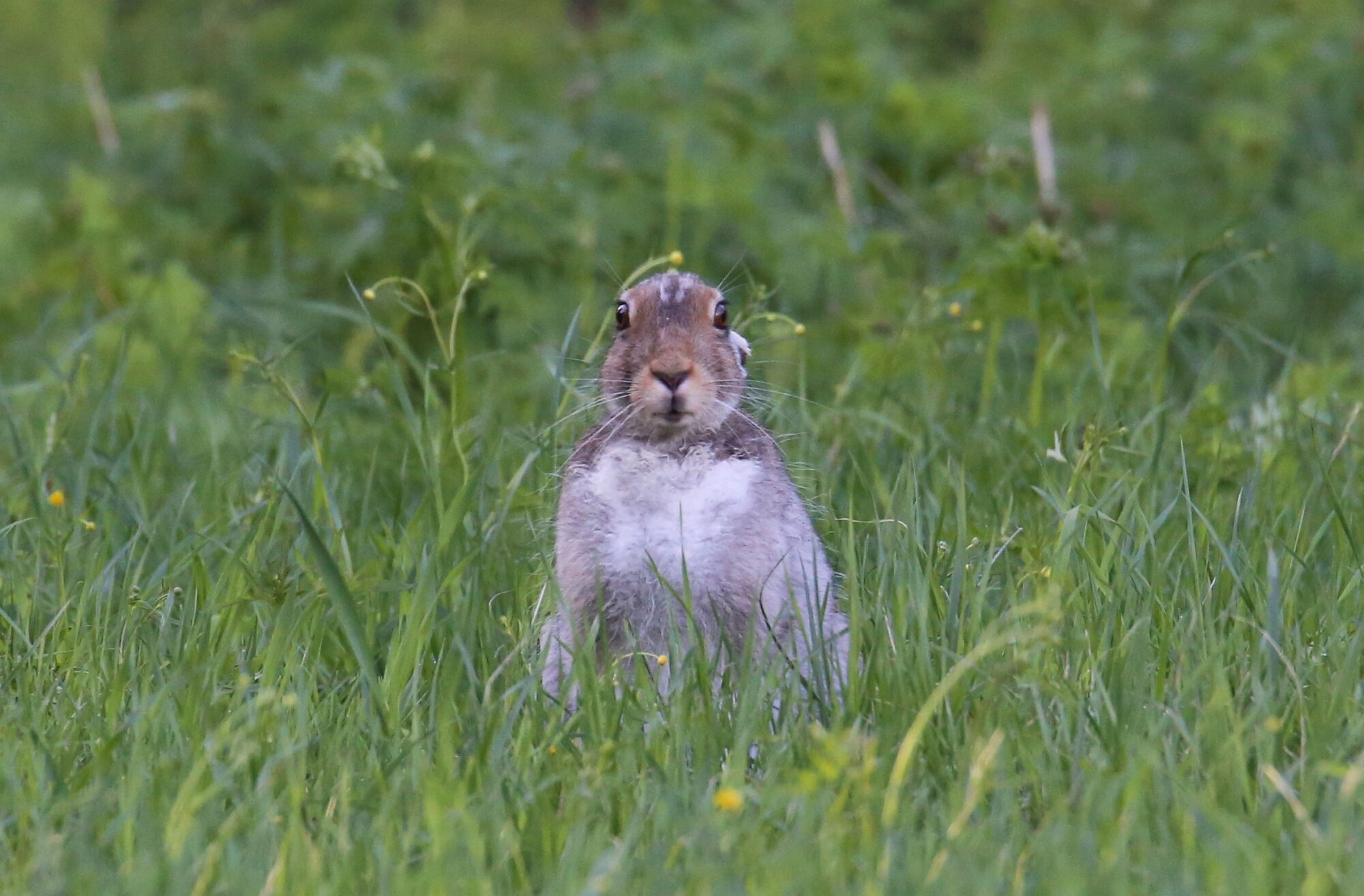 Valokuvaaja: Jaana Saarelainen