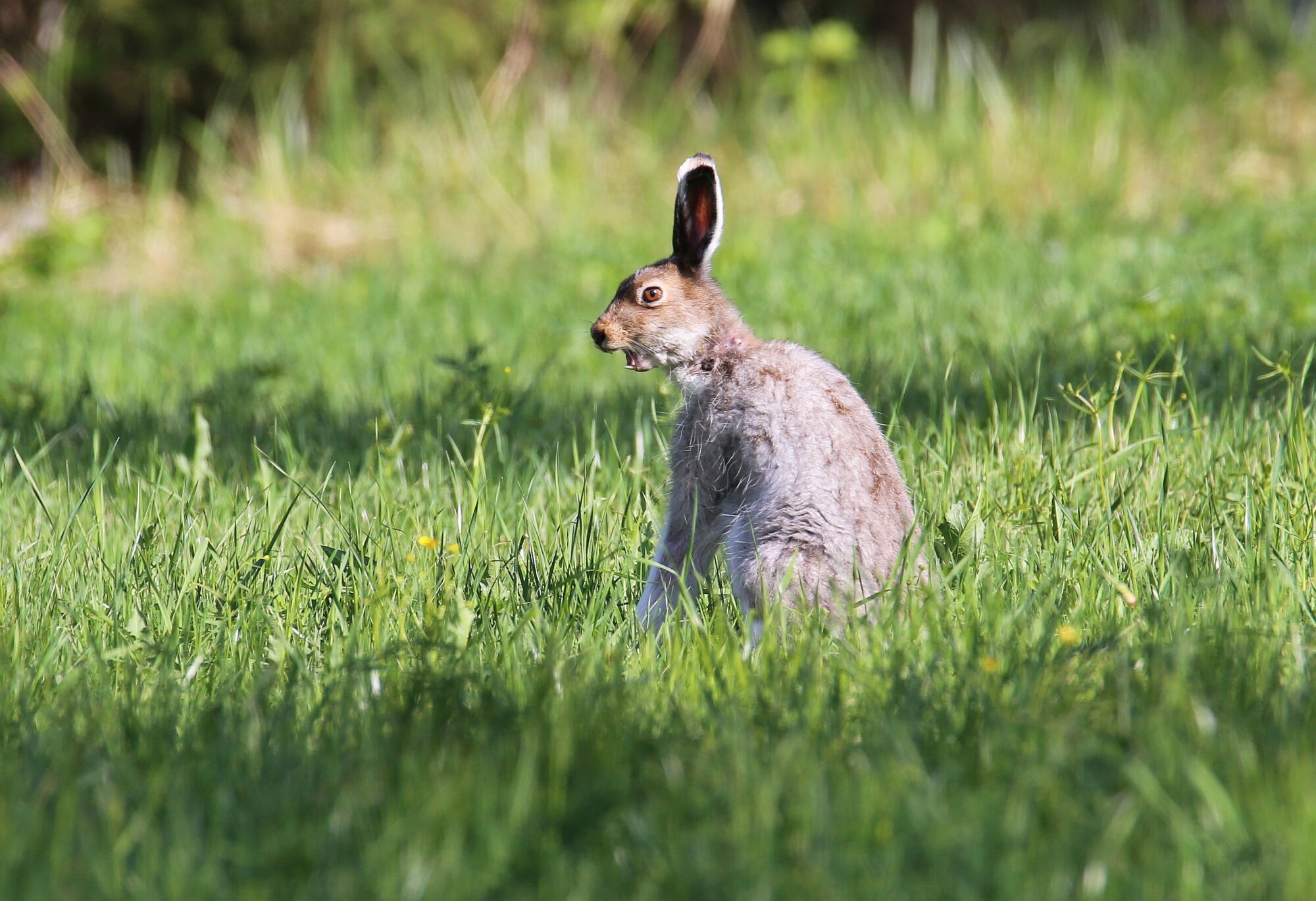 Valokuvaaja: Jaana Saarelainen