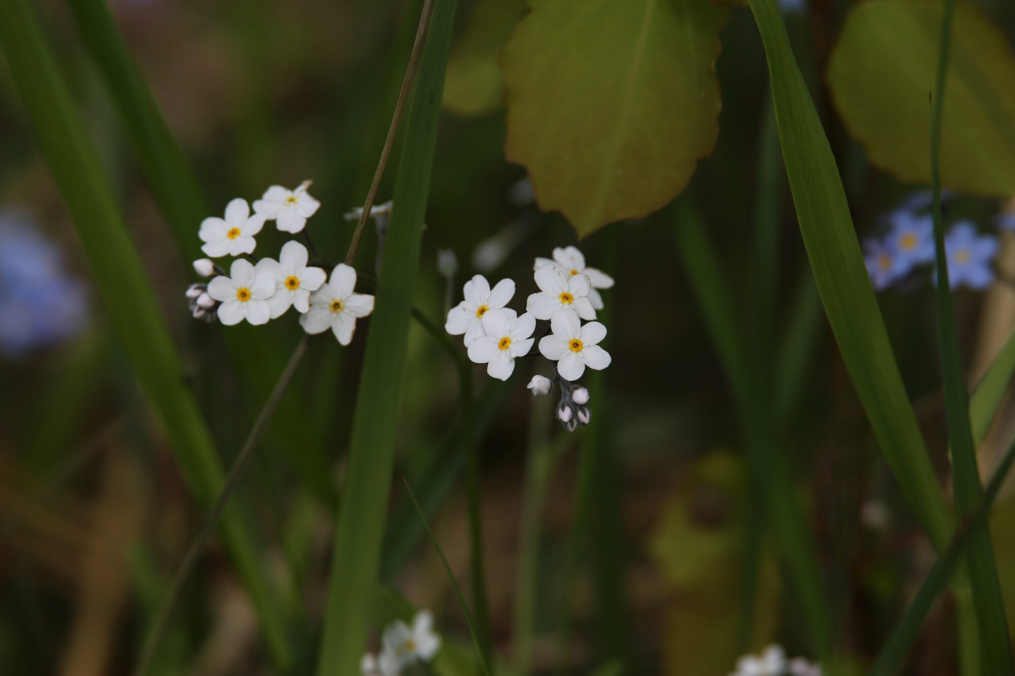 Valokuvaaja: Jaana Saarelainen