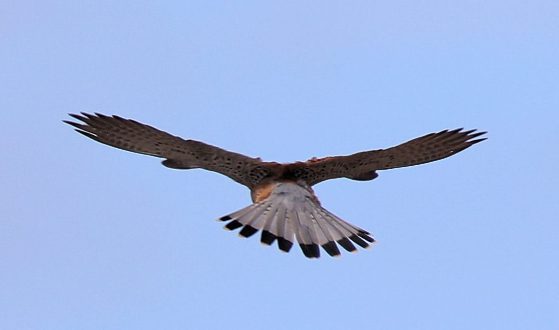 Valokuvaaja: Ahti Keränen Valokuvaaja: Ahti Keränen
