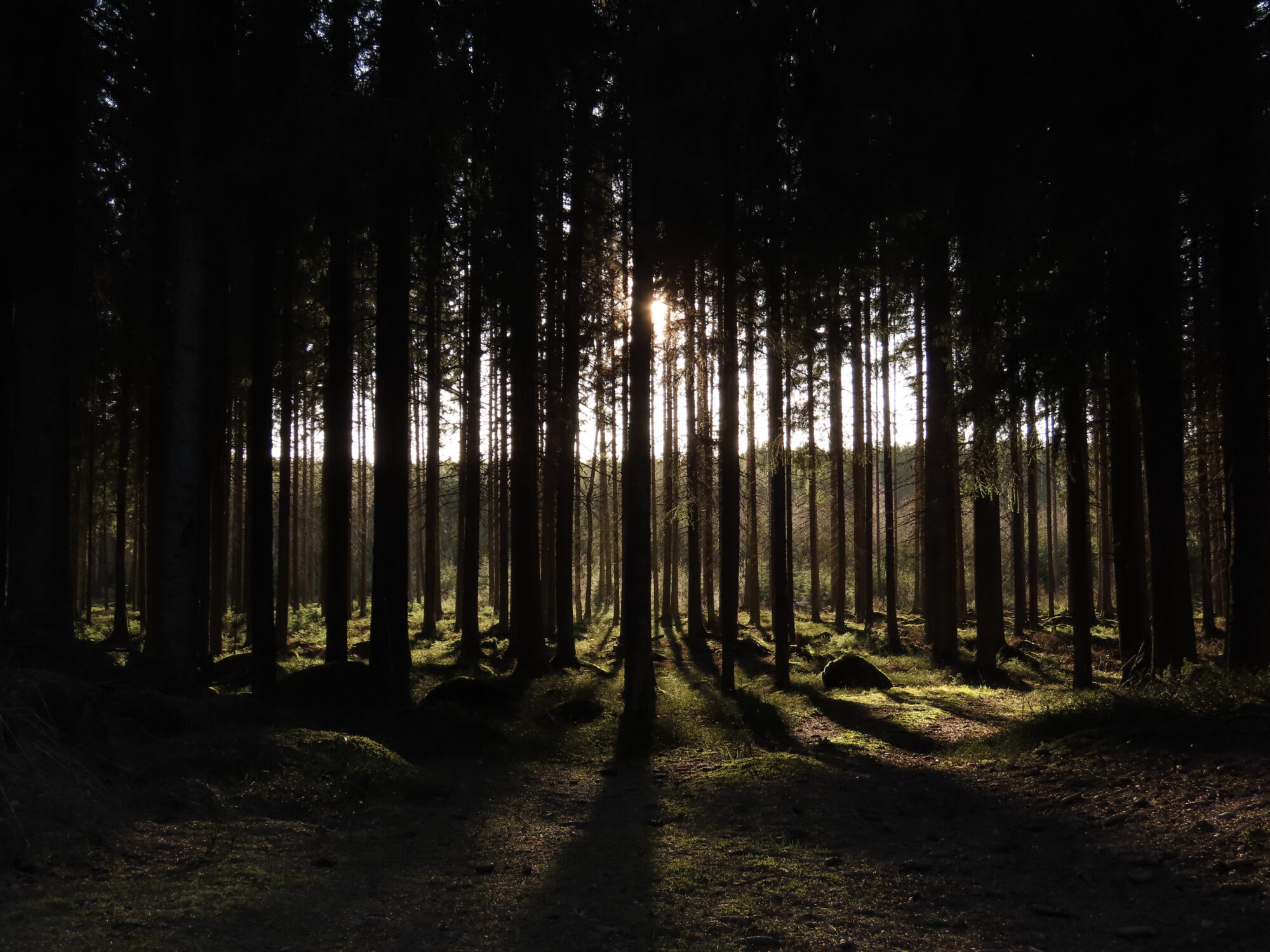 Valokuvaaja: Mirja Suoknuuti