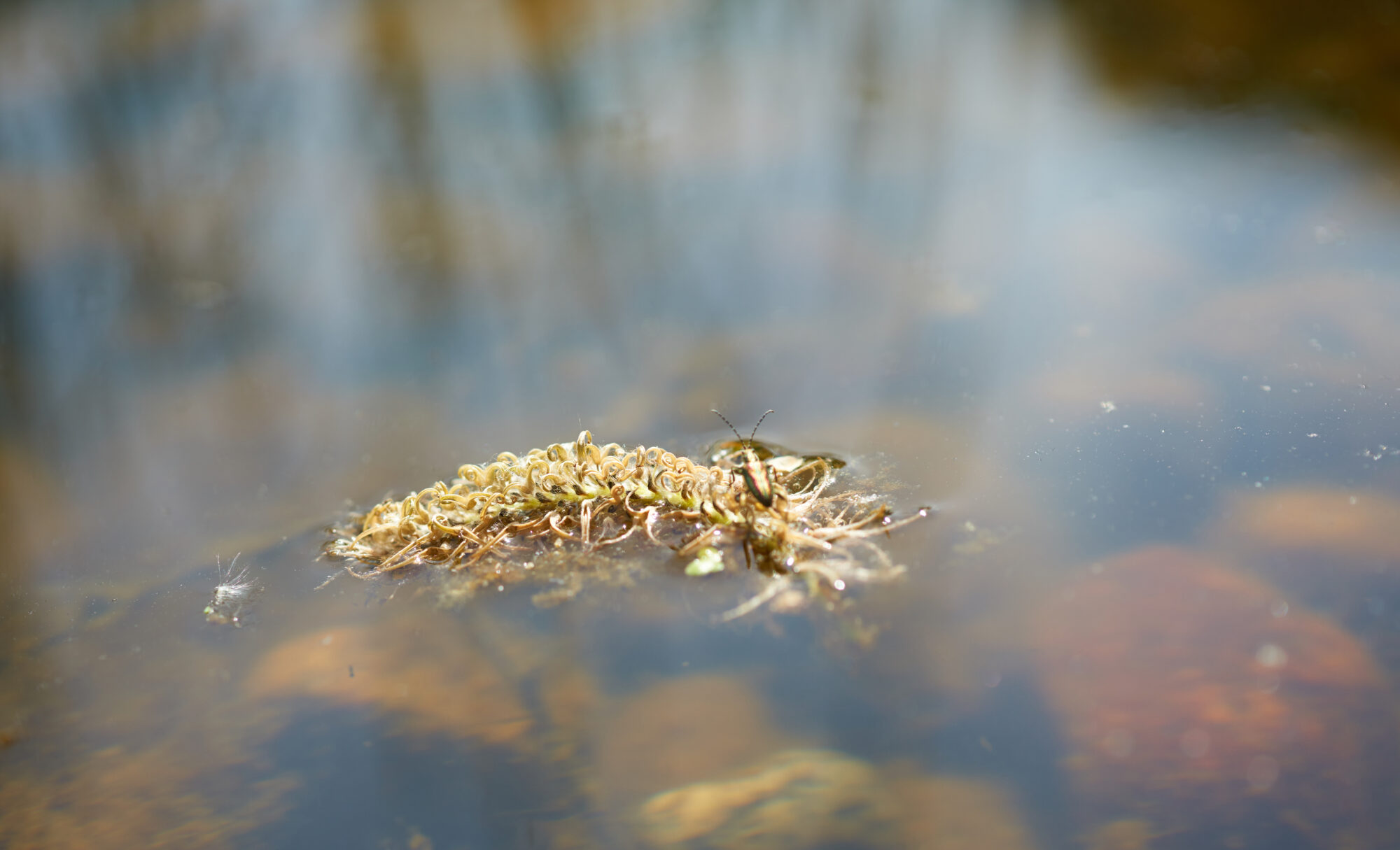 Valokuvaaja: Tarja Kouvo