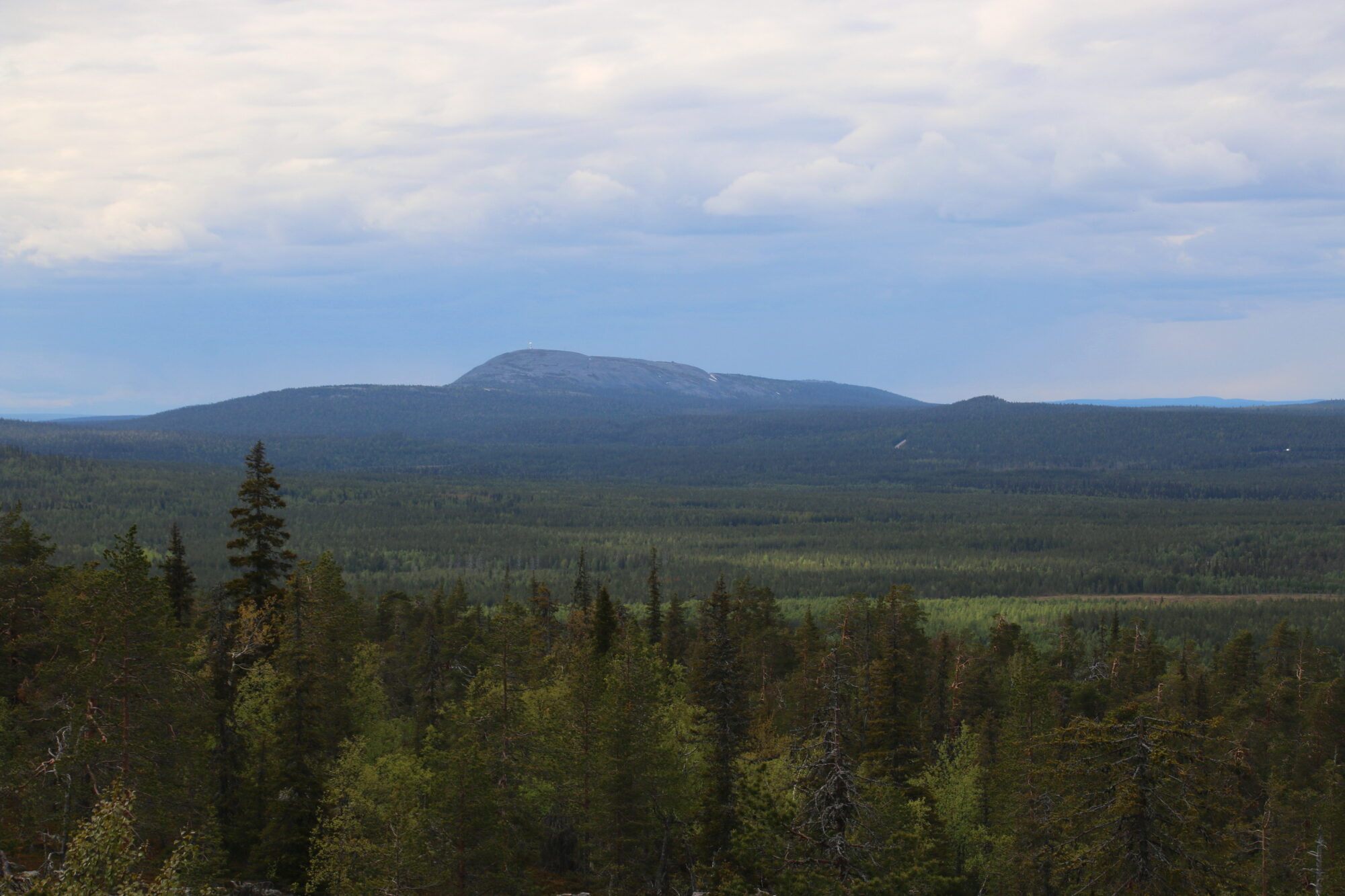 Valokuvaaja: Tuukka Pahtamaa