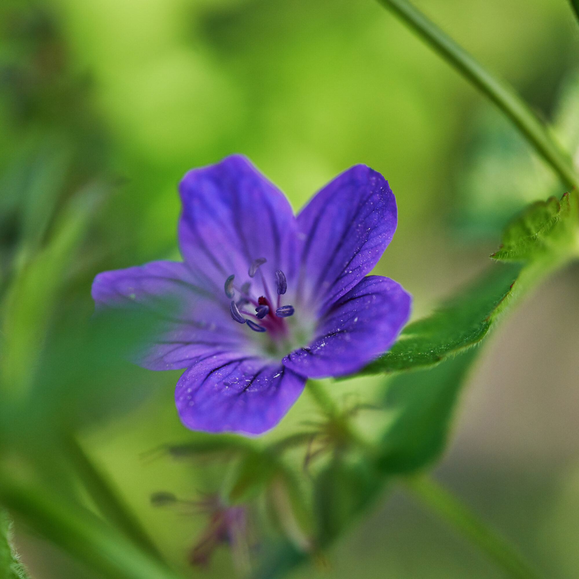 Valokuvaaja: Tarja Kouvo