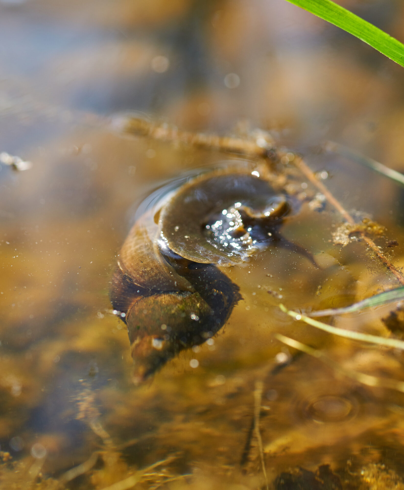 Valokuvaaja: Tarja Kouvo