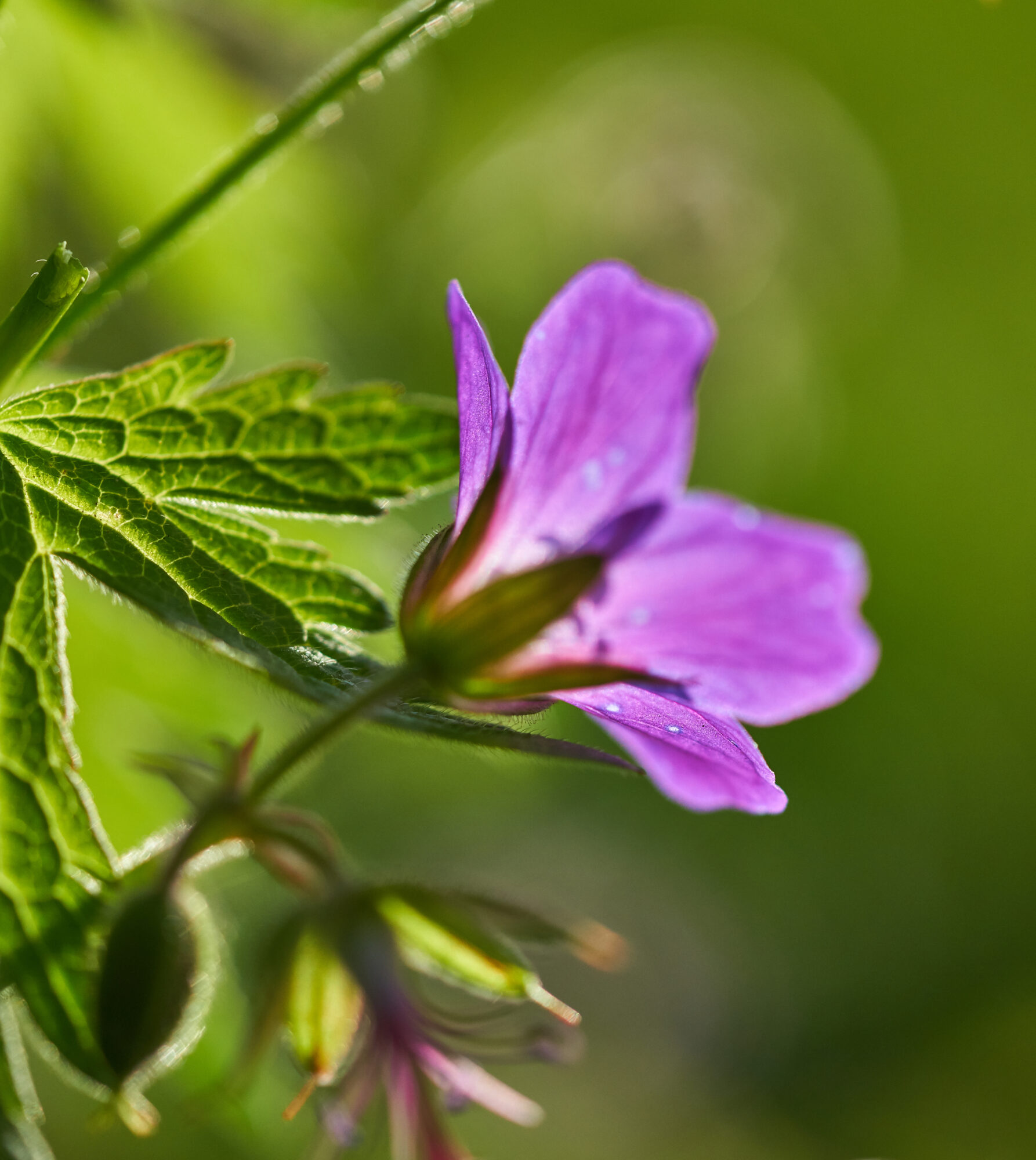 Valokuvaaja: Tarja Kouvo