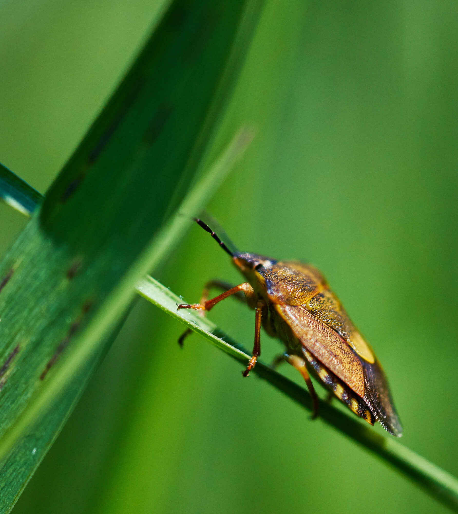 Valokuvaaja: Tarja Kouvo