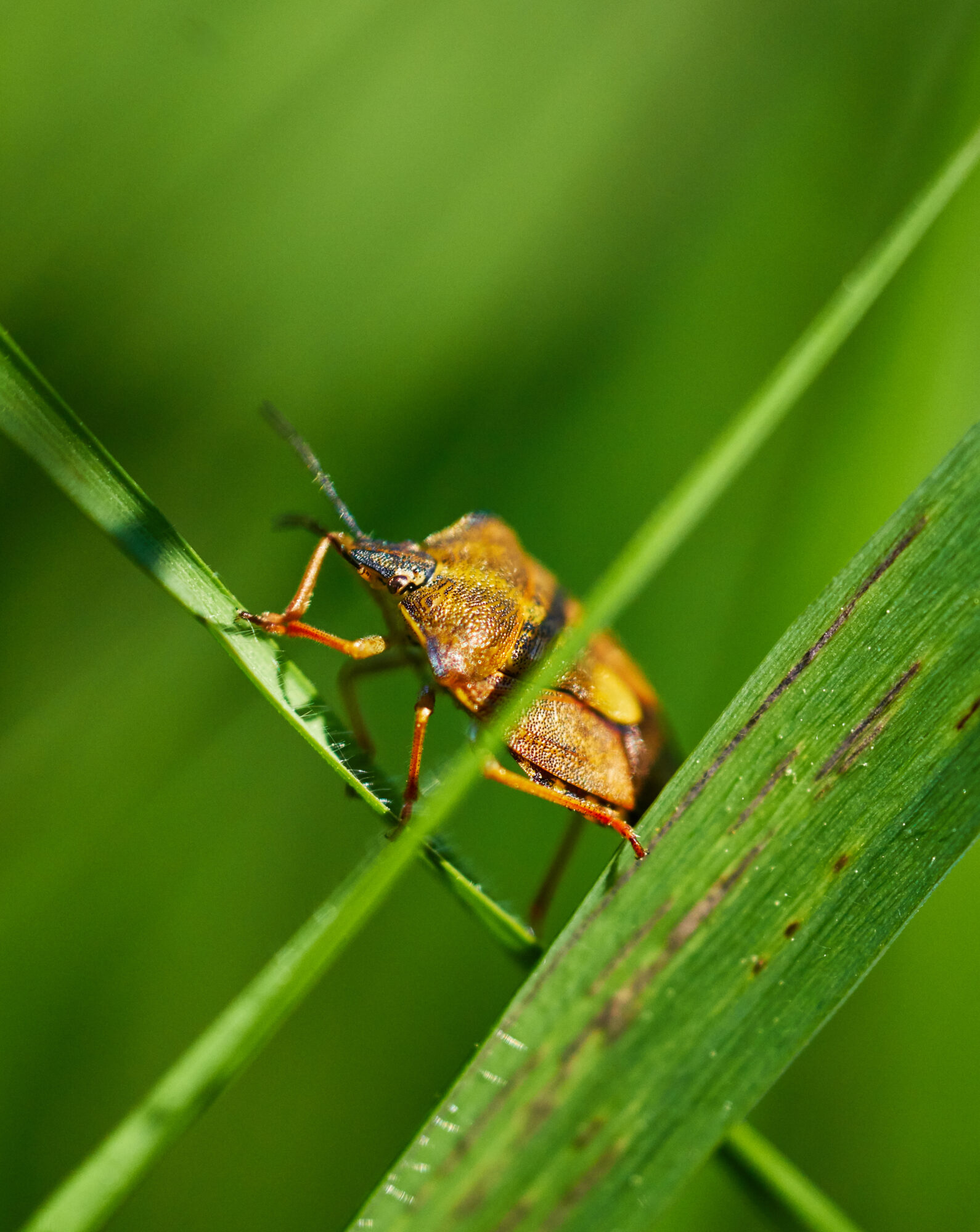 Valokuvaaja: Tarja Kouvo