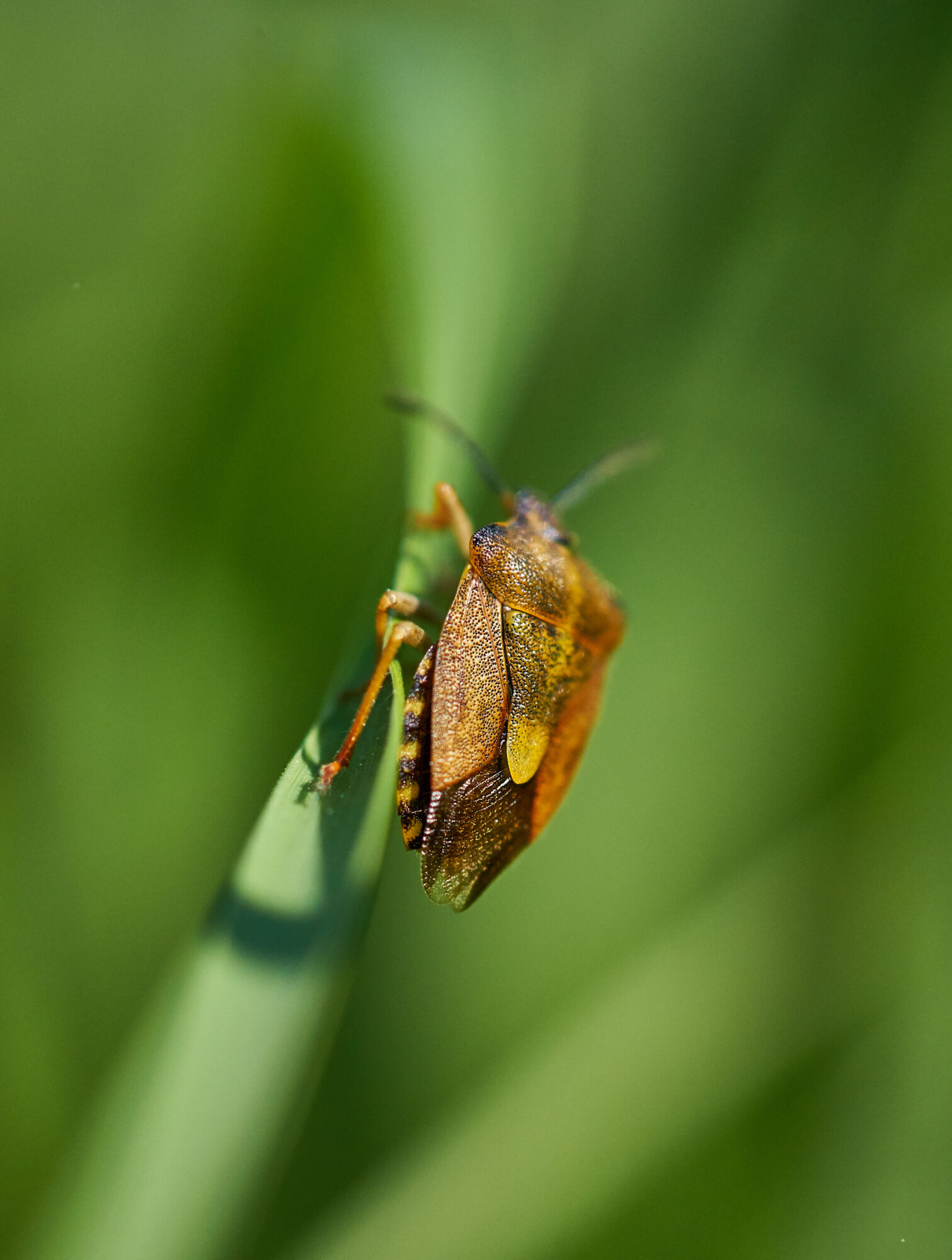 Valokuvaaja: Tarja Kouvo