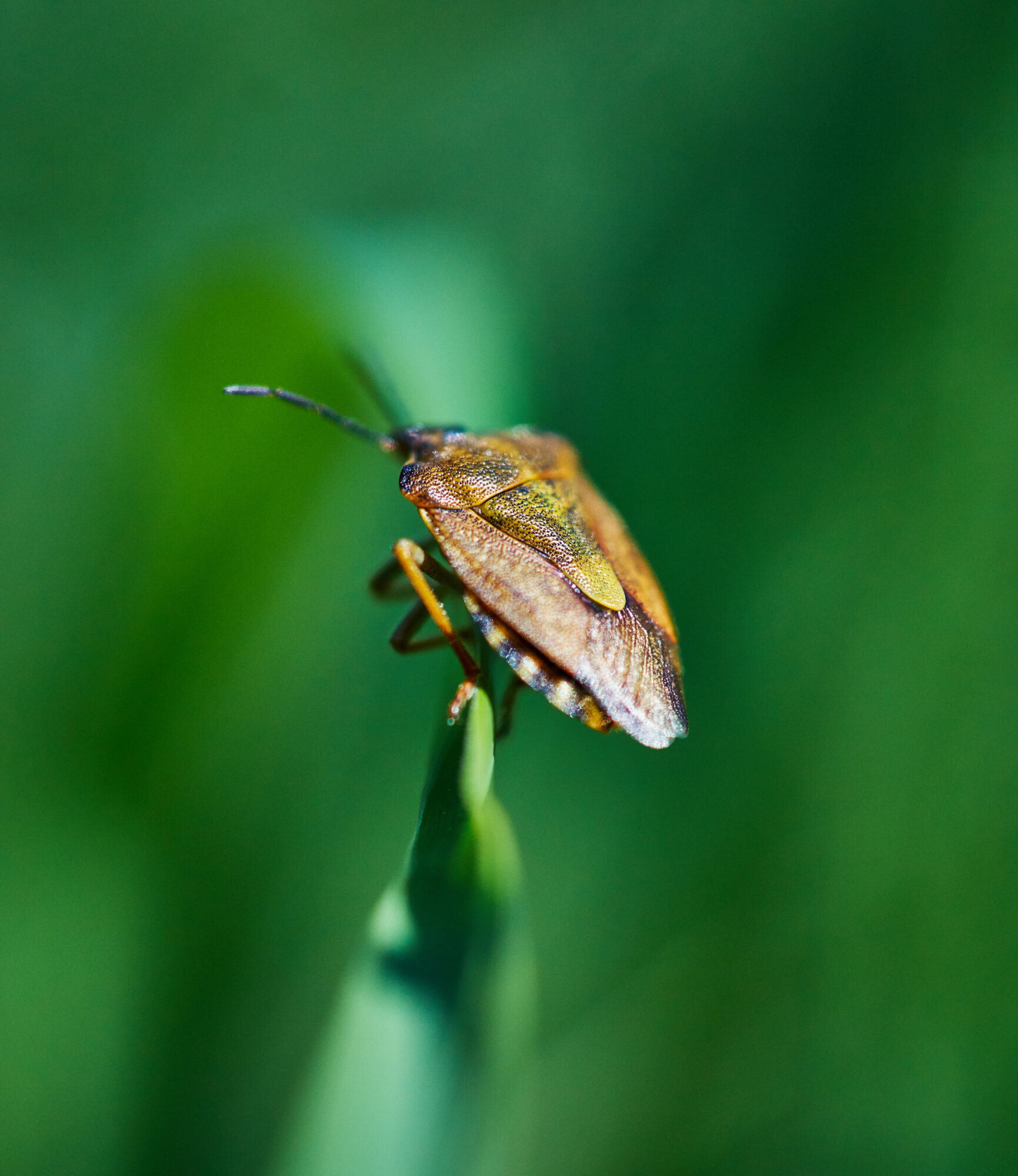 Valokuvaaja: Tarja Kouvo