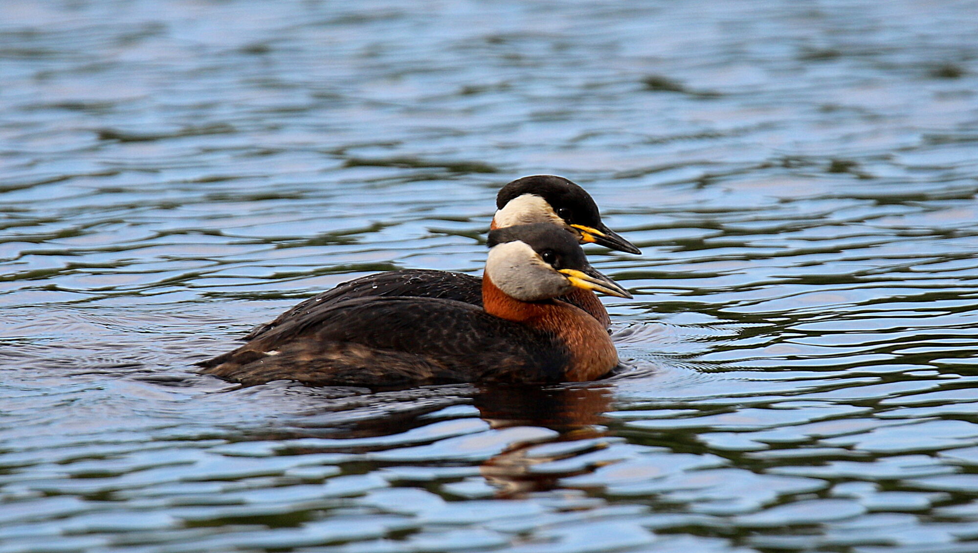 Valokuvaaja: sirpa Jyske