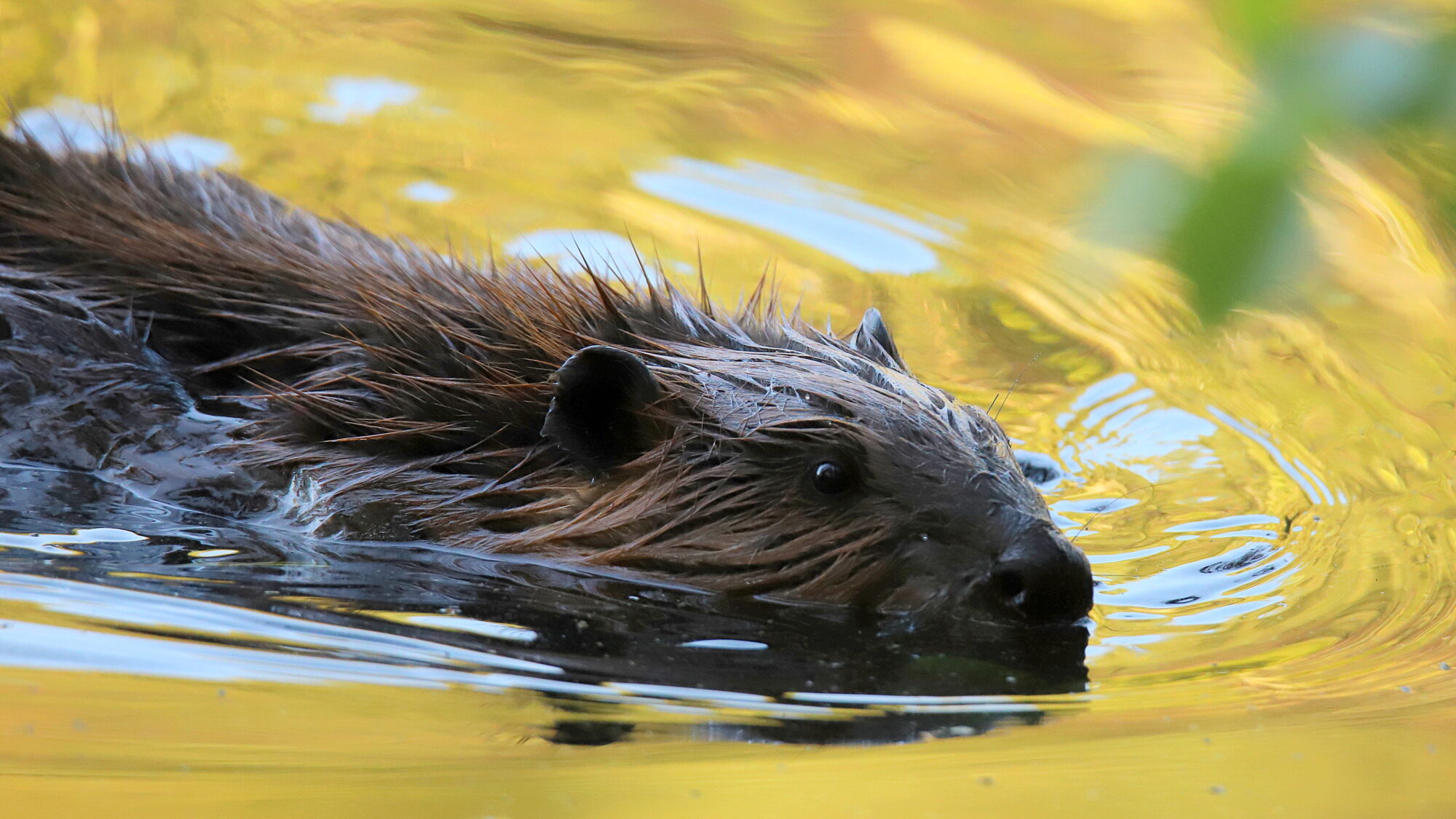 Valokuvaaja: sirpa Jyske