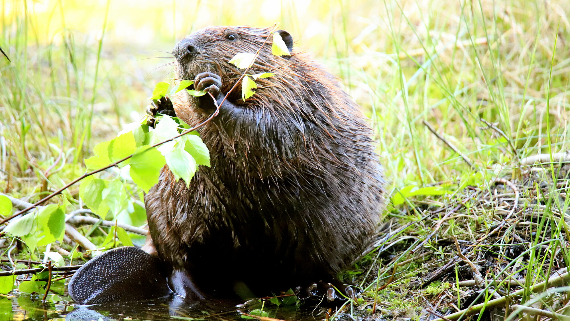 Valokuvaaja: sirpa Jyske