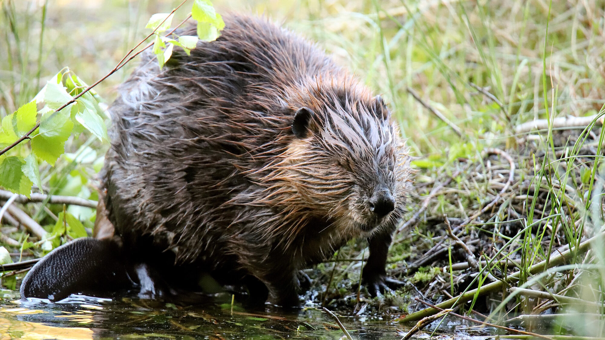 Valokuvaaja: sirpa Jyske