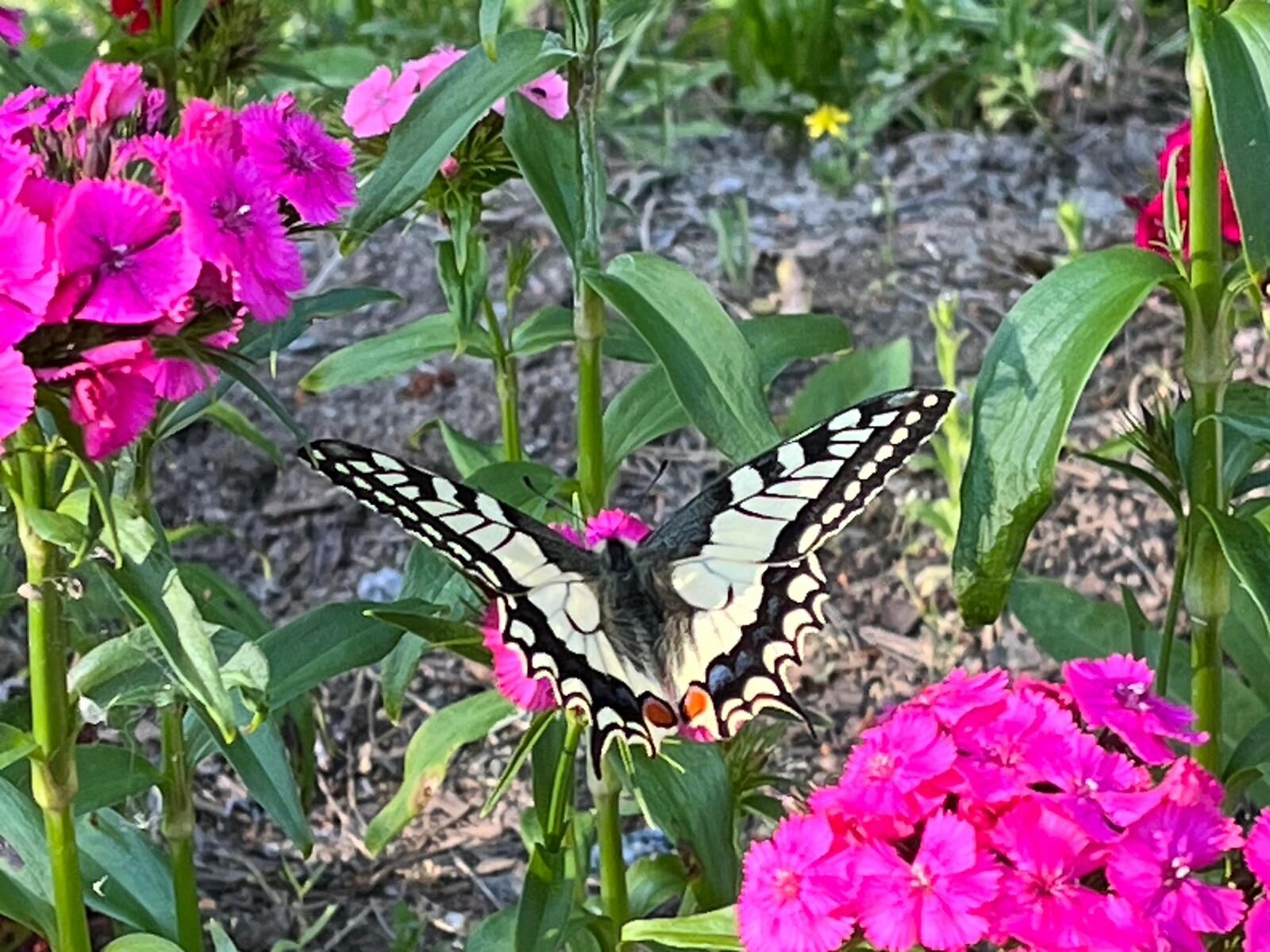 Valokuvaaja: Tiina Moilanen