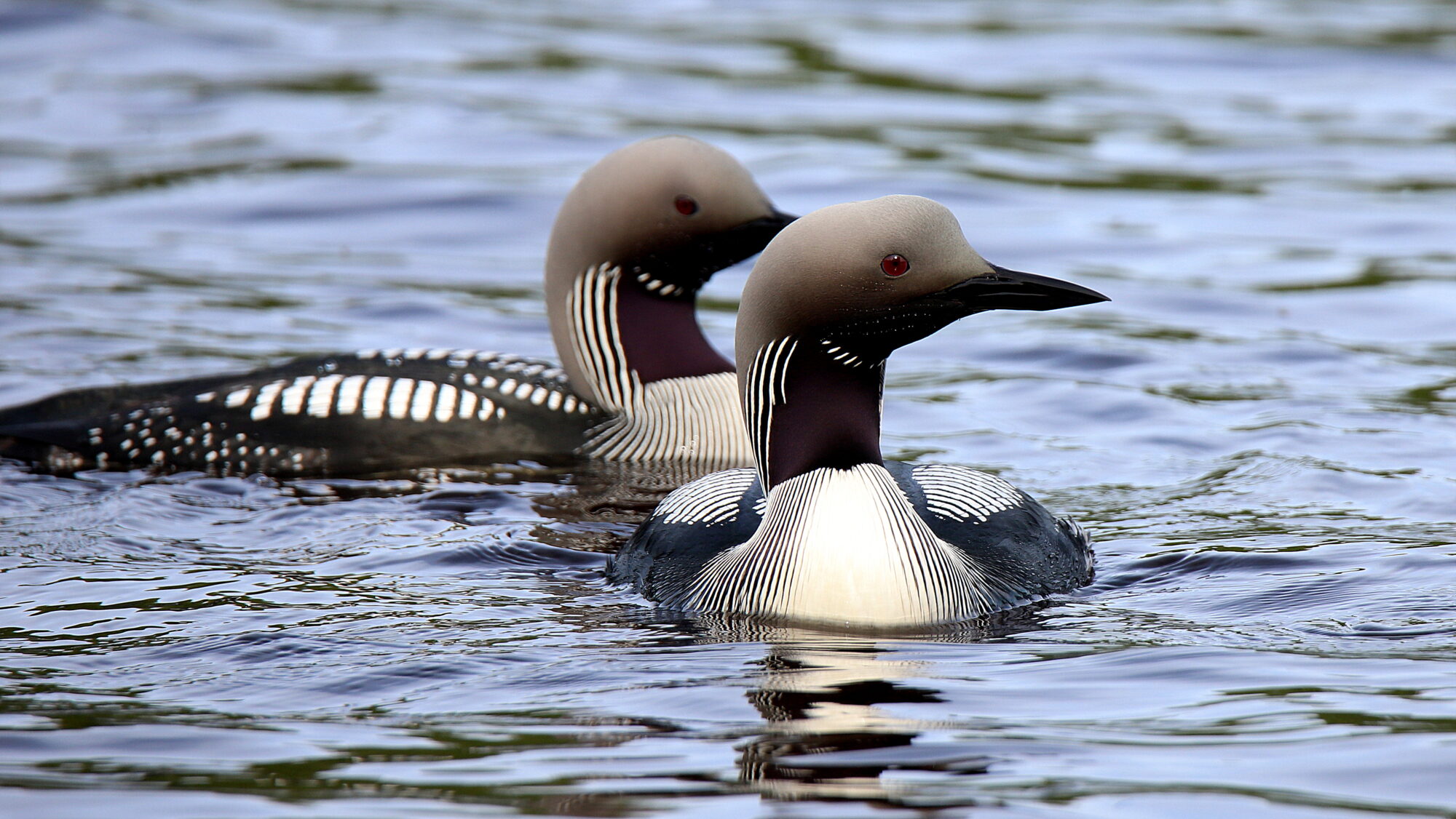 Valokuvaaja: sirpa Jyske