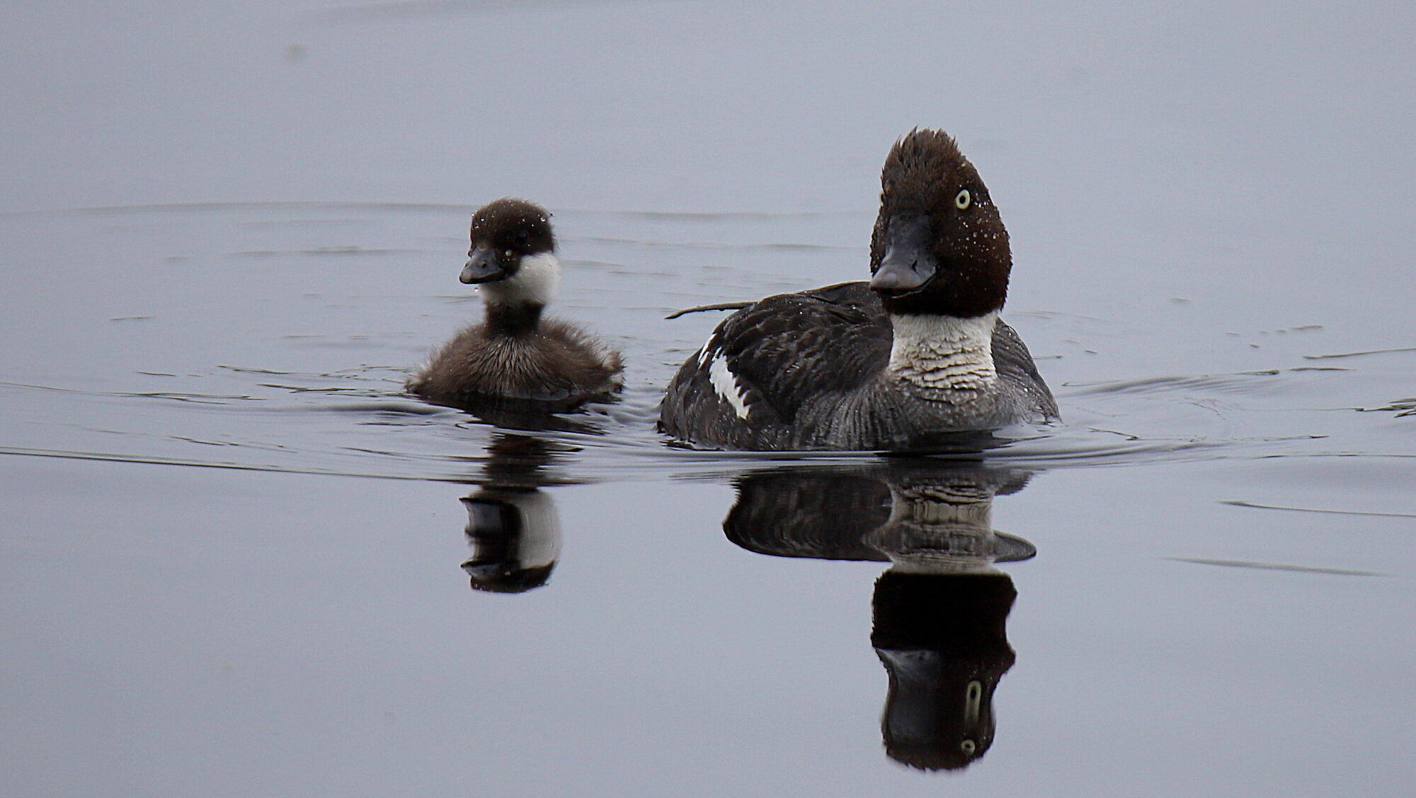 Valokuvaaja: sirpa Jyske