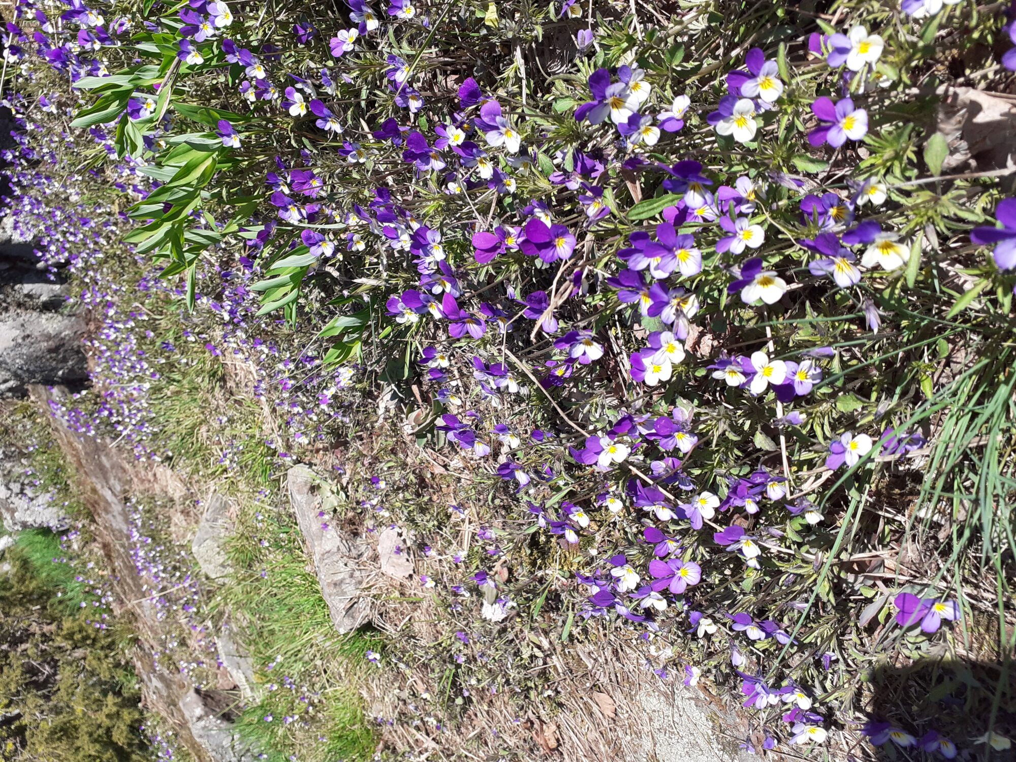 Valokuvaaja: Eeva-Liisa Ilvonen