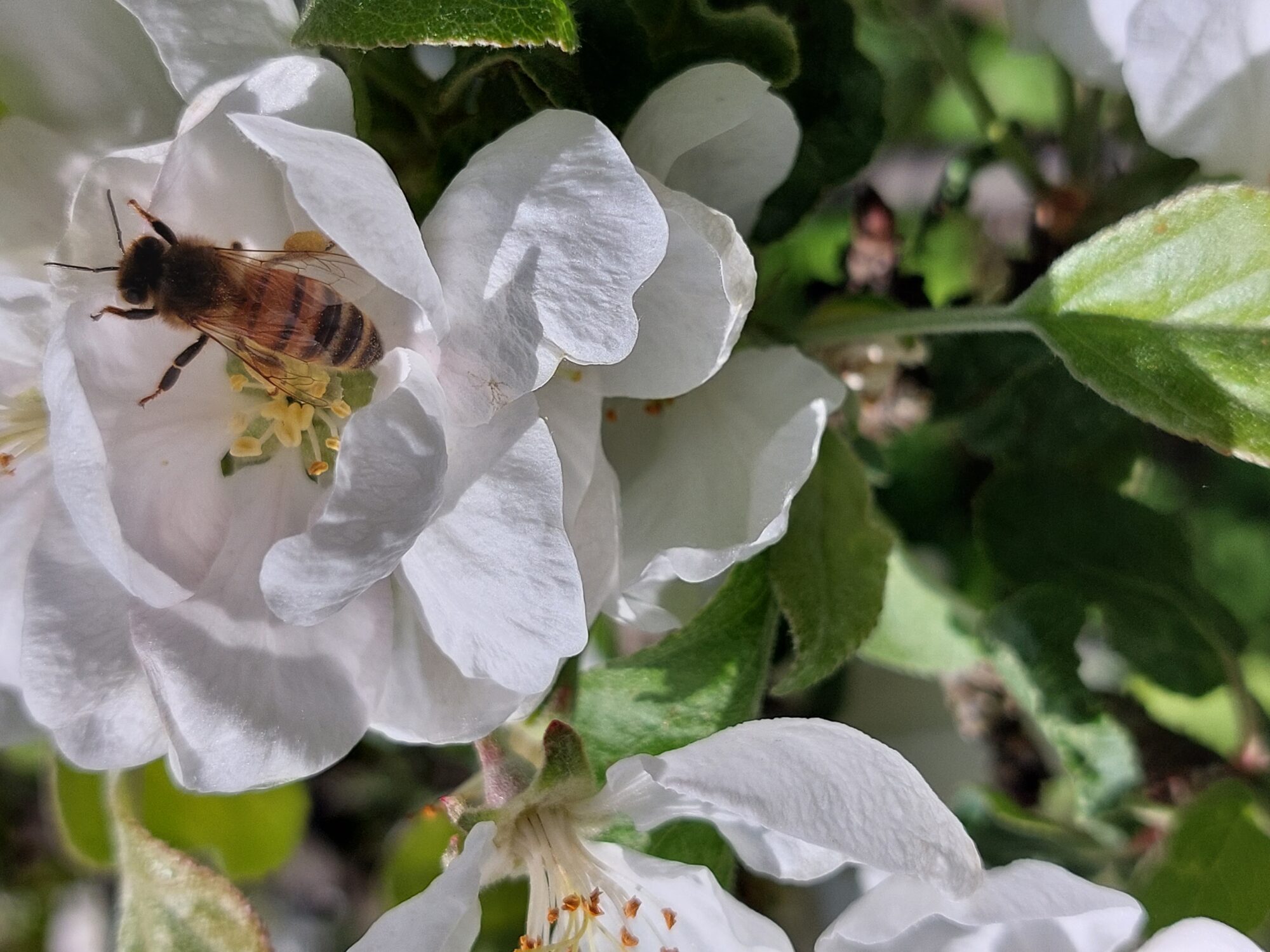 Valokuvaaja: Lindqvist Leo