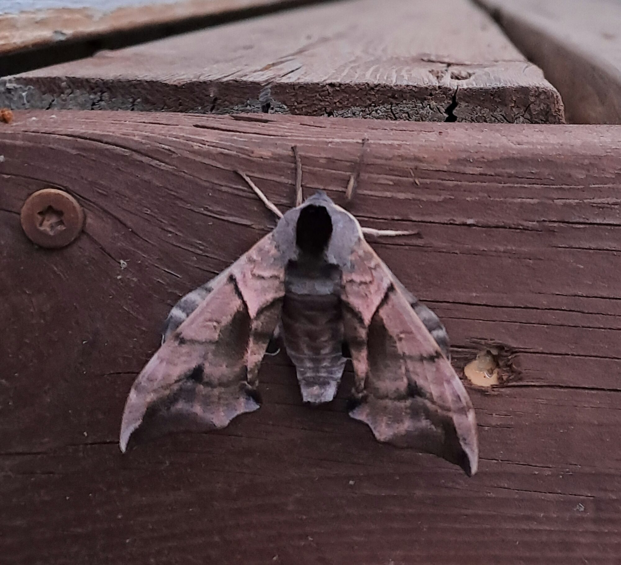 Valokuvaaja: Markku Partti