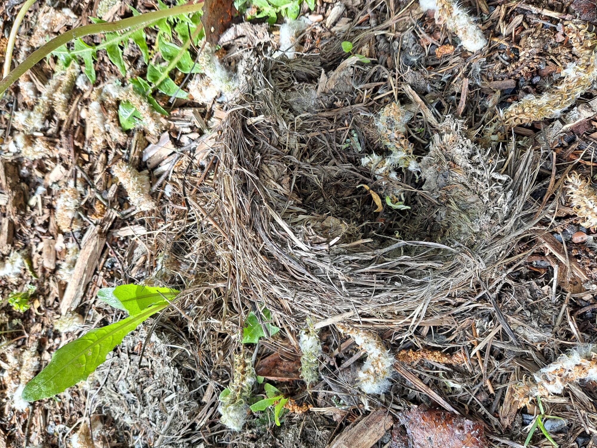 Valokuvaaja: Satu Suuntala