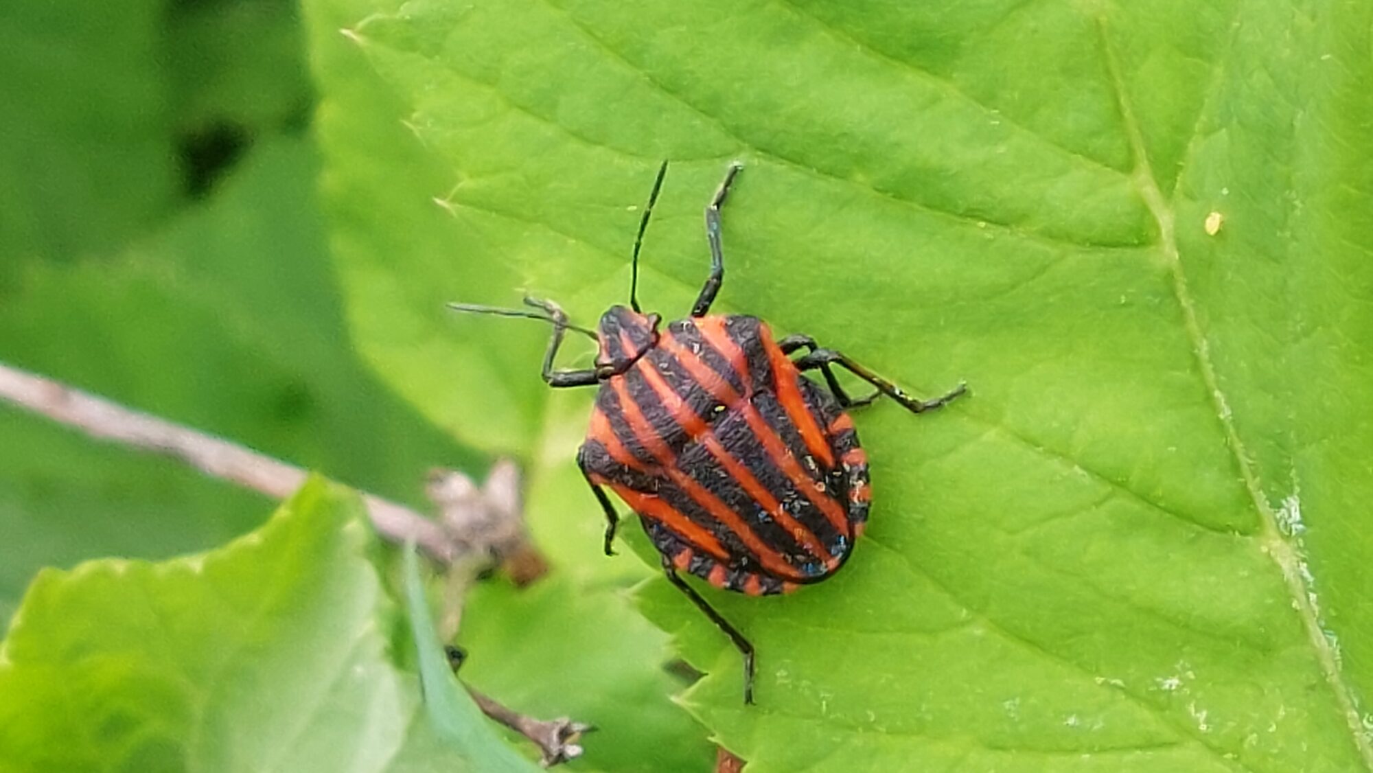 Valokuvaaja: Tarja Naukkarinen