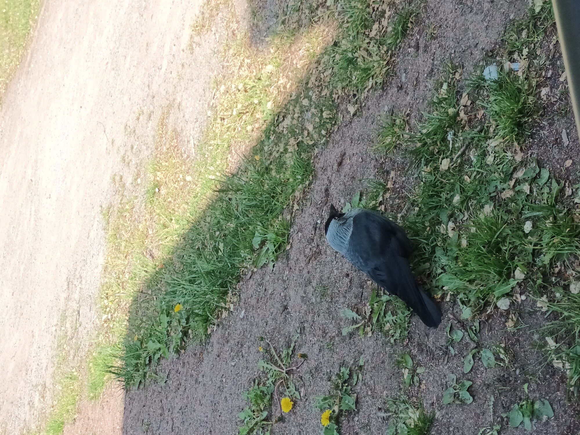 Valokuvaaja: Alvar Ilmonen