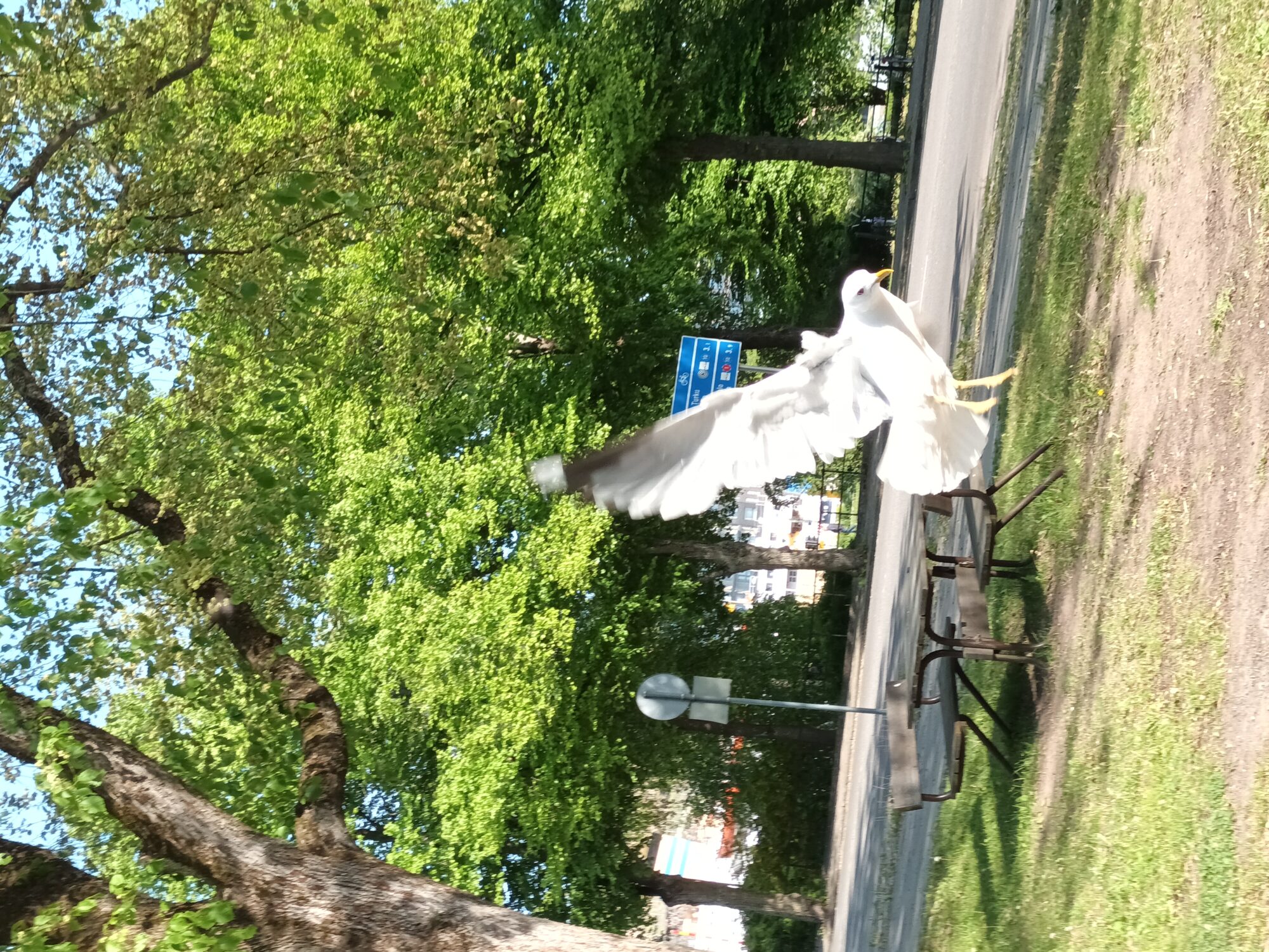 Valokuvaaja: Alvar Ilmonen