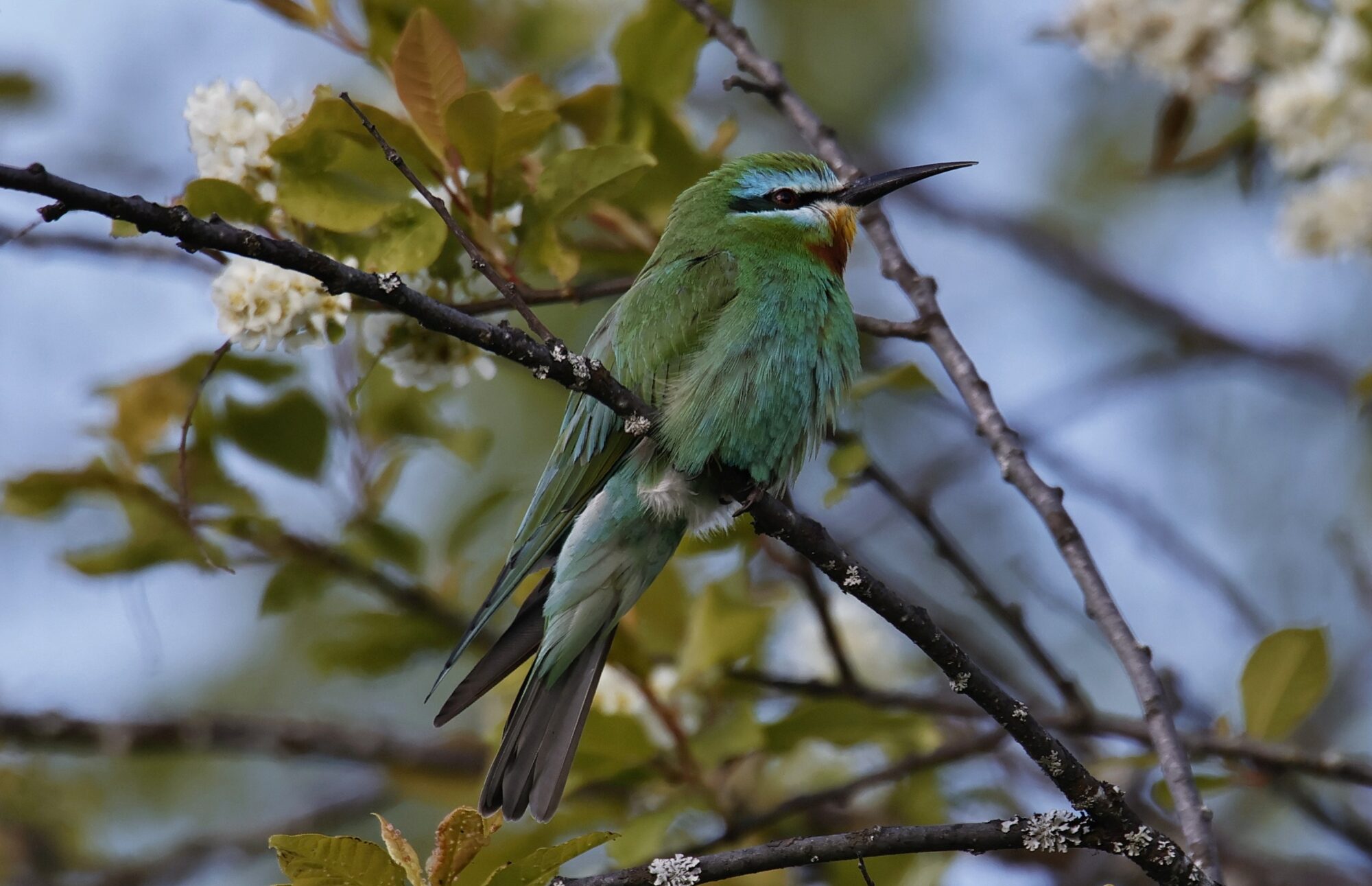 Valokuvaaja: Timo Lappalainen