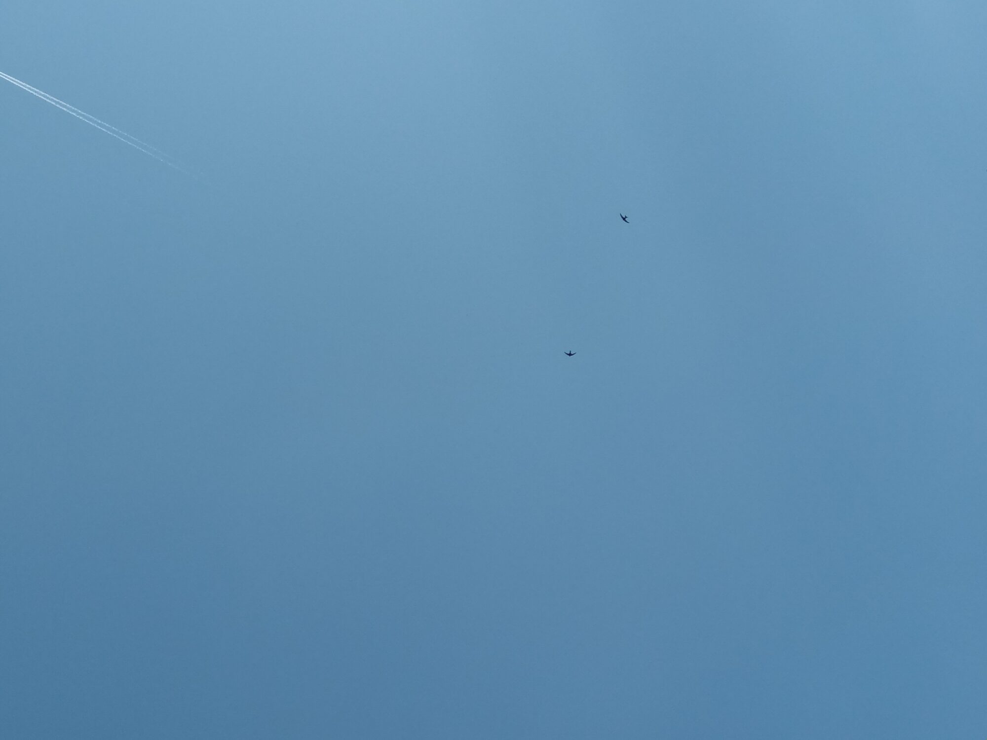 Valokuvaaja: Alvar Ilmonen