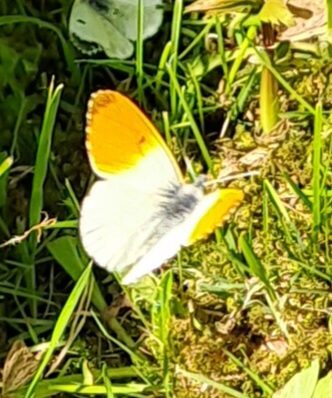 Valokuvaaja: Eija Johanna Saastamoinen