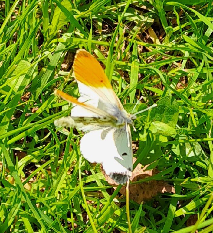 Valokuvaaja: Eija Johanna Saastamoinen