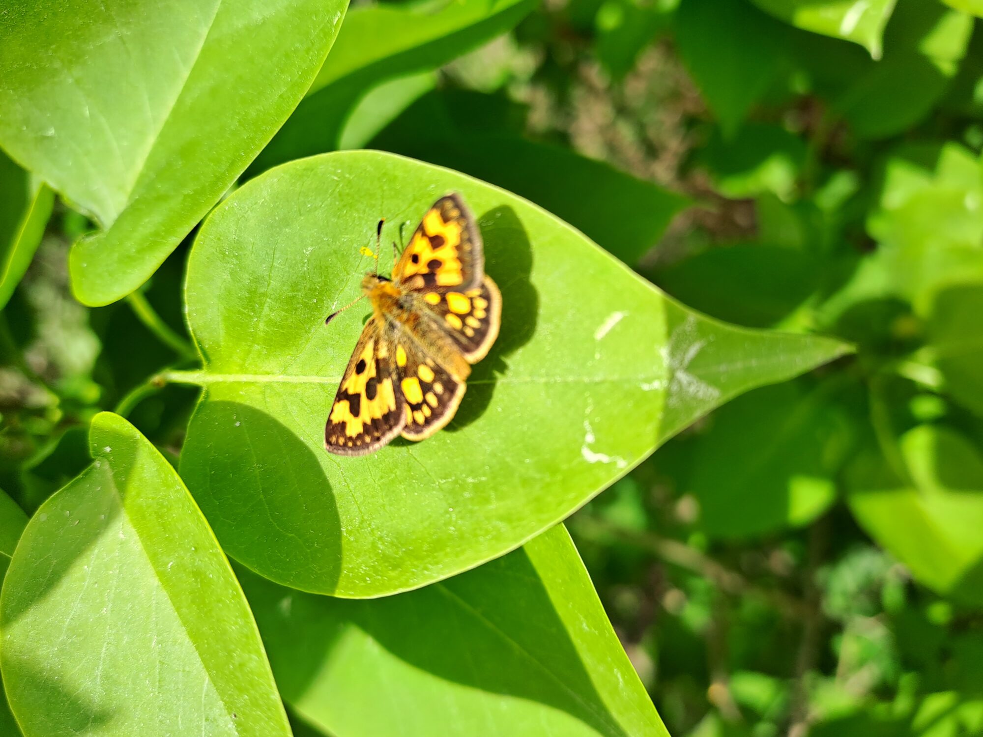 Valokuvaaja: Eija Johanna Saastamoinen