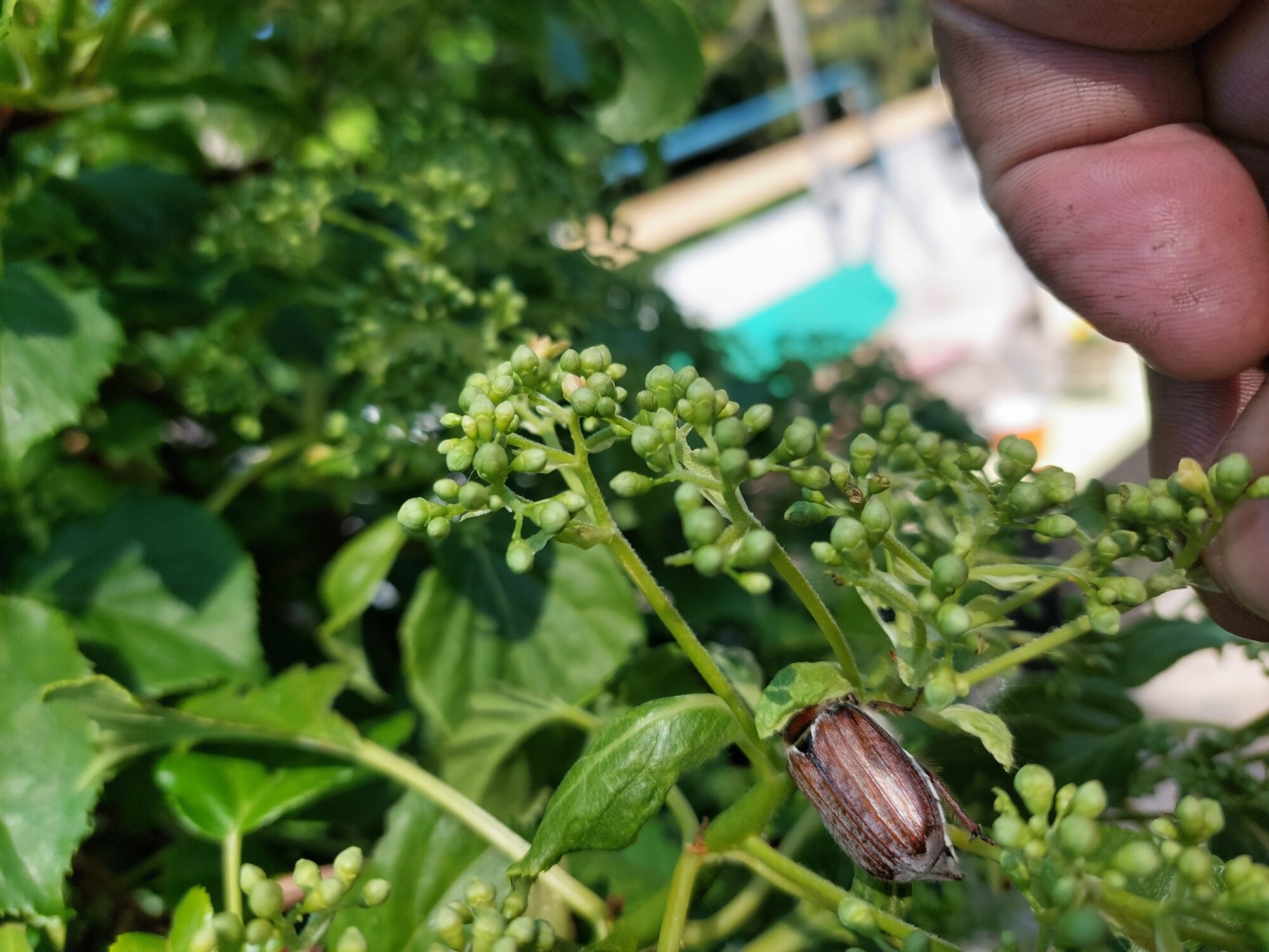 Valokuvaaja: Tuire pesonen Valokuvaaja: Tuire pesonen