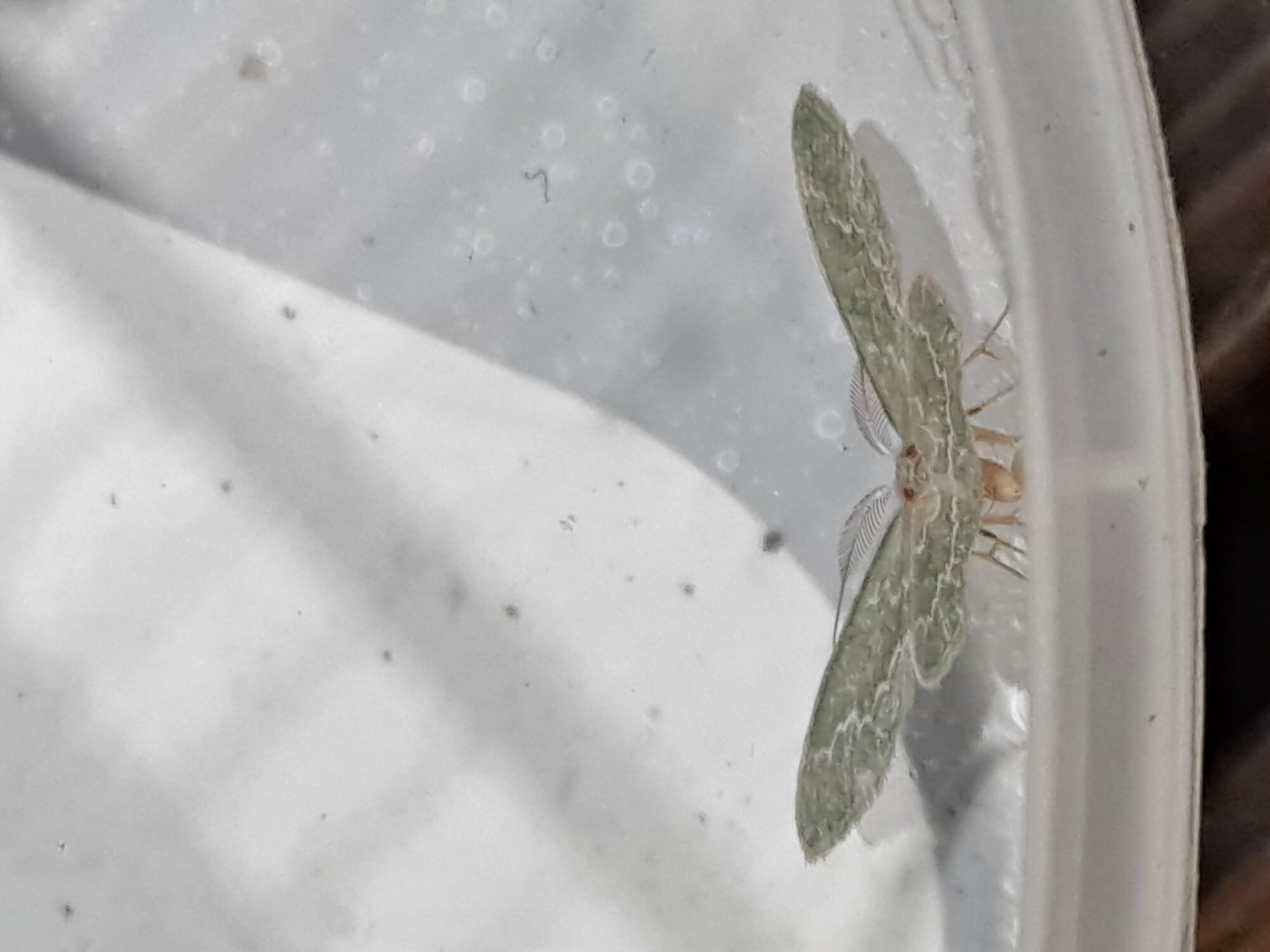 Valokuvaaja: Satu Suuntala