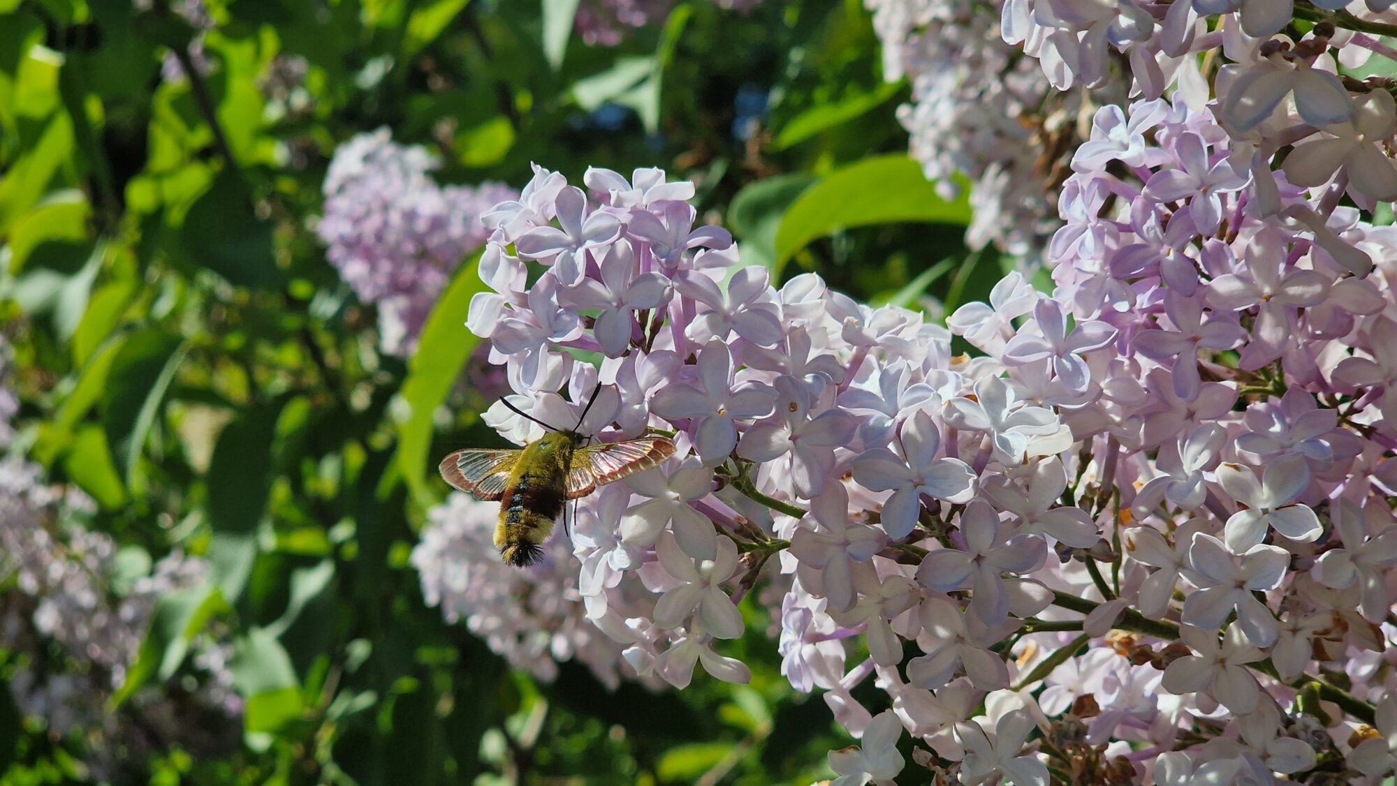Valokuvaaja: Kalle Kause