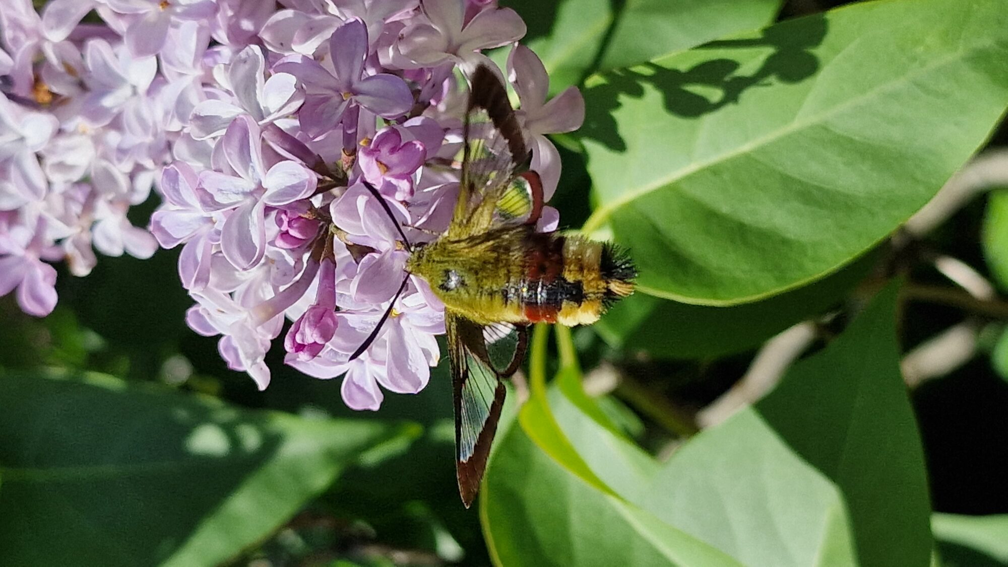 Valokuvaaja: Kalle Kause