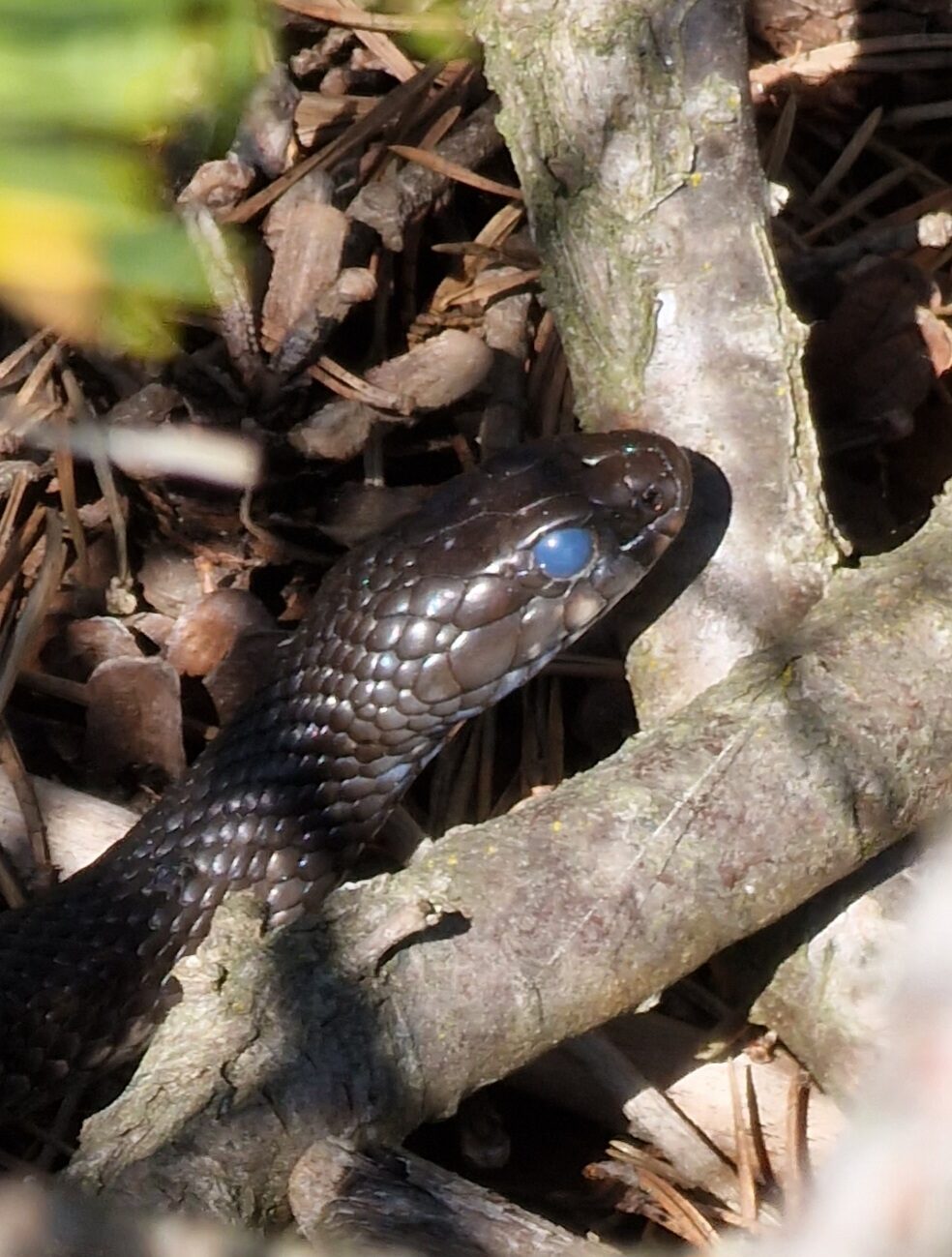 Valokuvaaja: Hanna Rönty