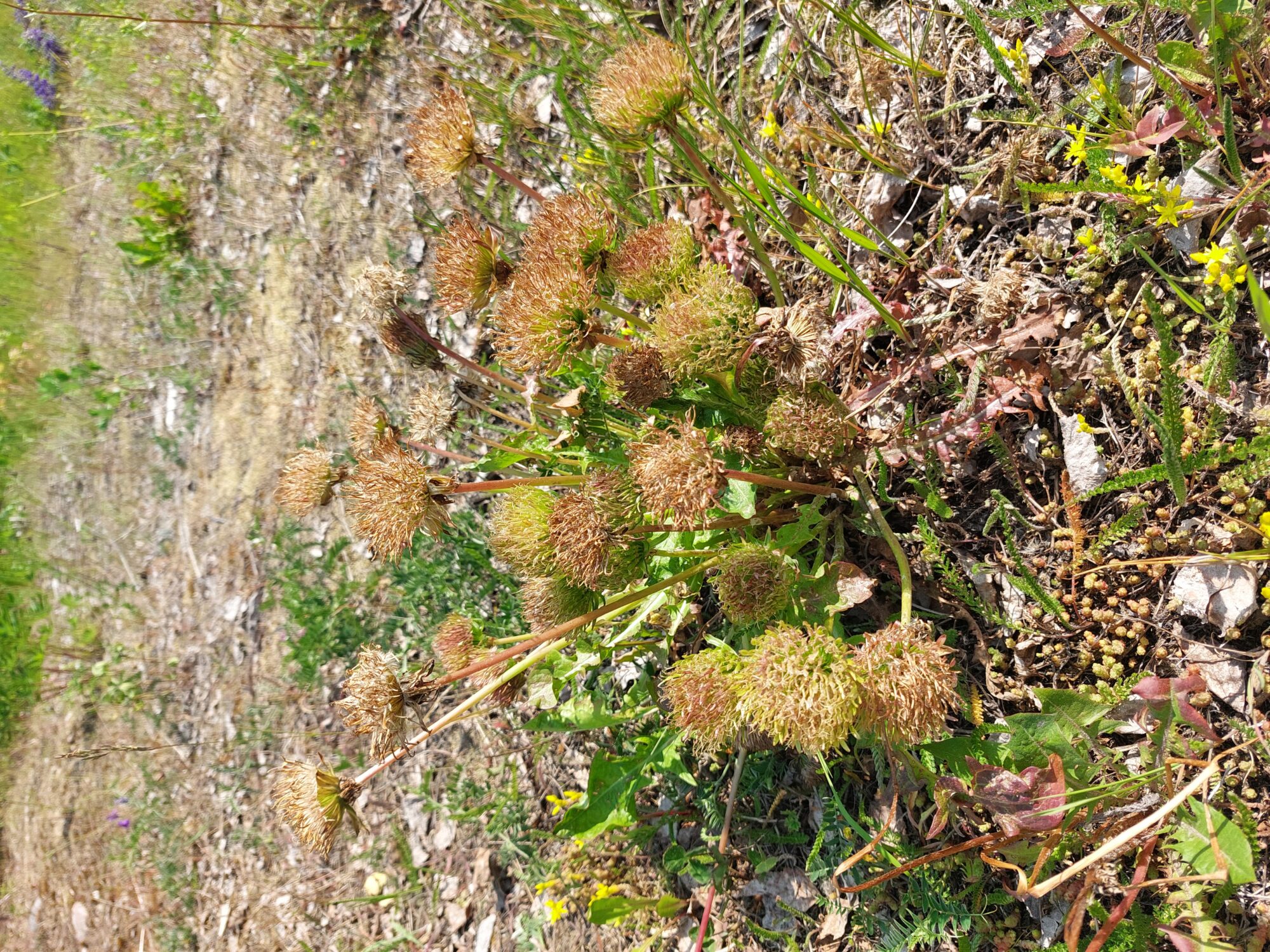 Valokuvaaja: Nina Backman