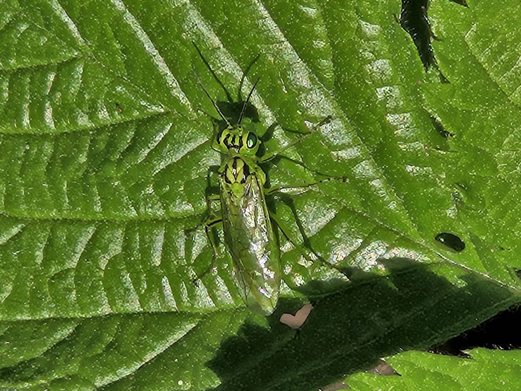 Valokuvaaja: Eeva Ollikainen