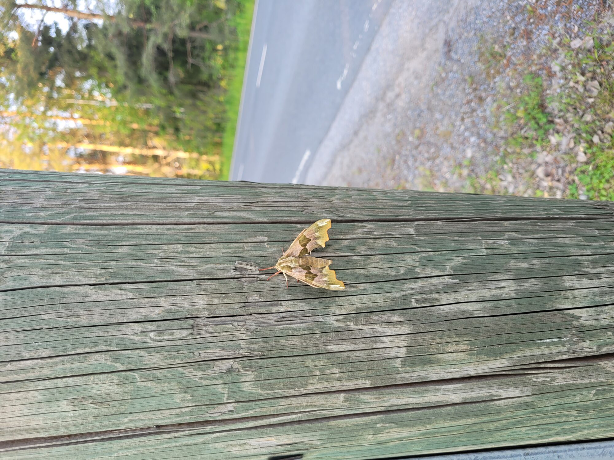 Valokuvaaja: Jussi Jokinen Valokuvaaja: Jussi Jokinen