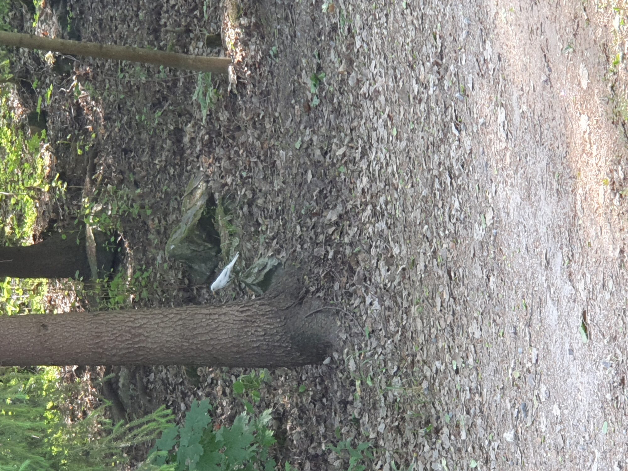 Valokuvaaja: Leena Paltamaa Valokuvaaja: Leena Paltamaa